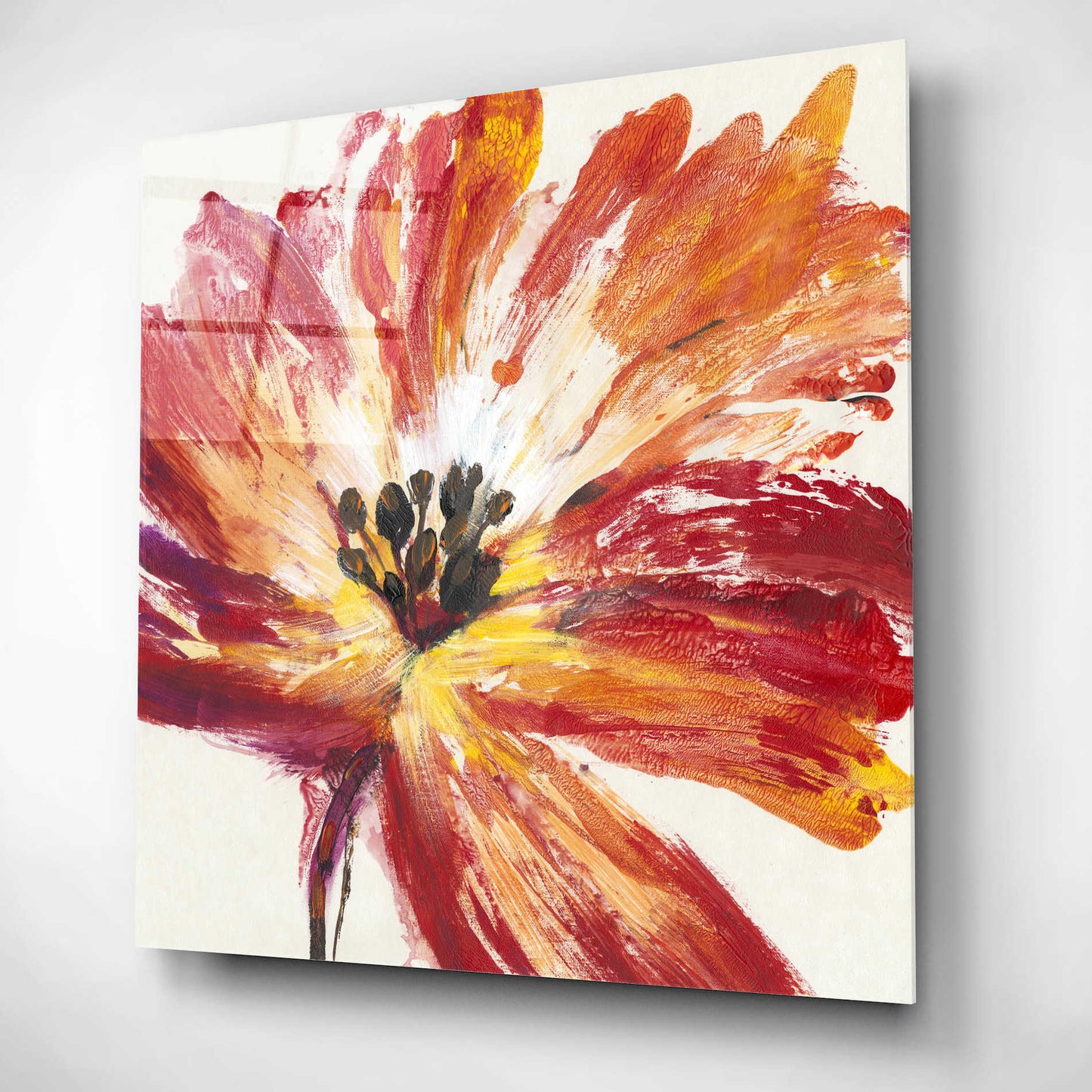 Epic Art 'Fleur Rouge I' by Tim O'Toole, Acrylic Glass Wall Art,12x12