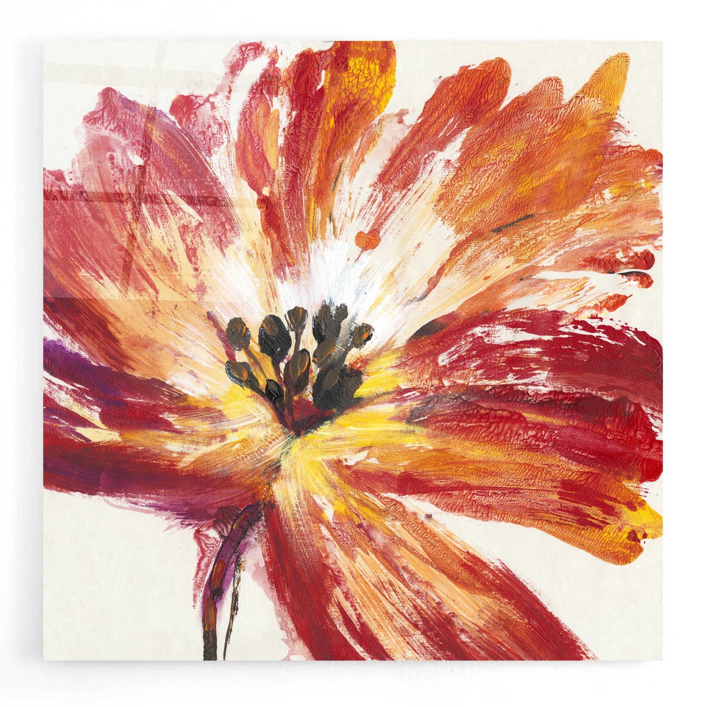 Epic Art 'Fleur Rouge I' by Tim O'Toole, Acrylic Glass Wall Art,24x24