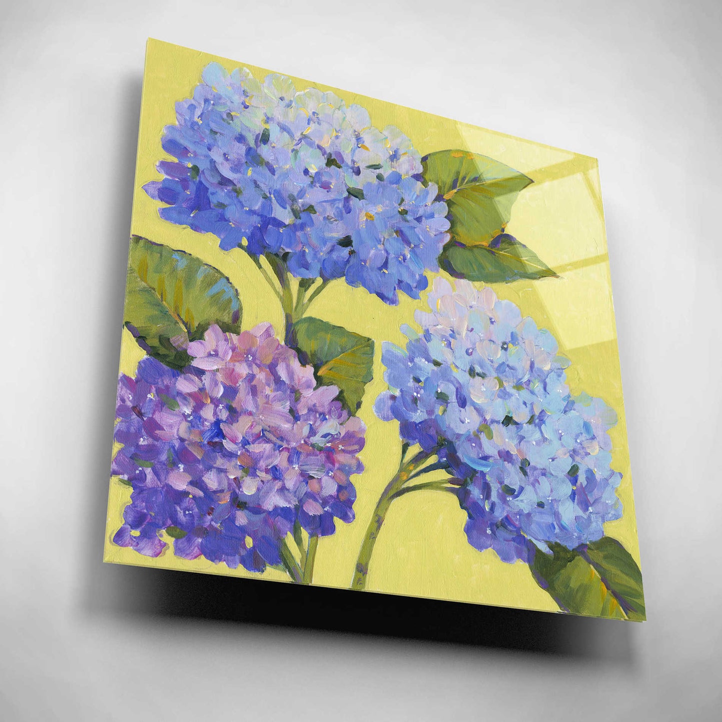 Epic Art 'Spring Hydrangeas II' by Tim O'Toole, Acrylic Glass Wall Art,12x12