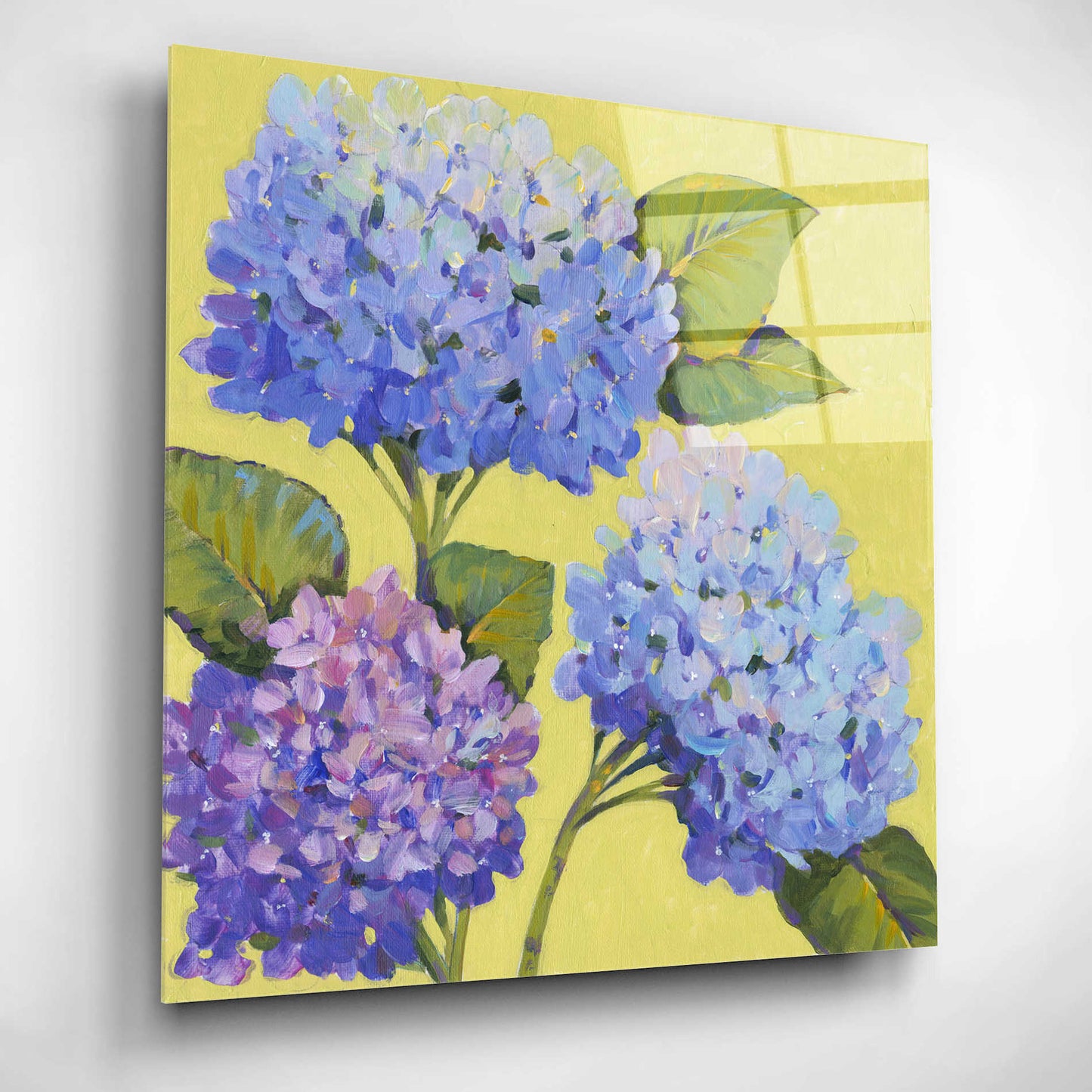 Epic Art 'Spring Hydrangeas II' by Tim O'Toole, Acrylic Glass Wall Art,12x12