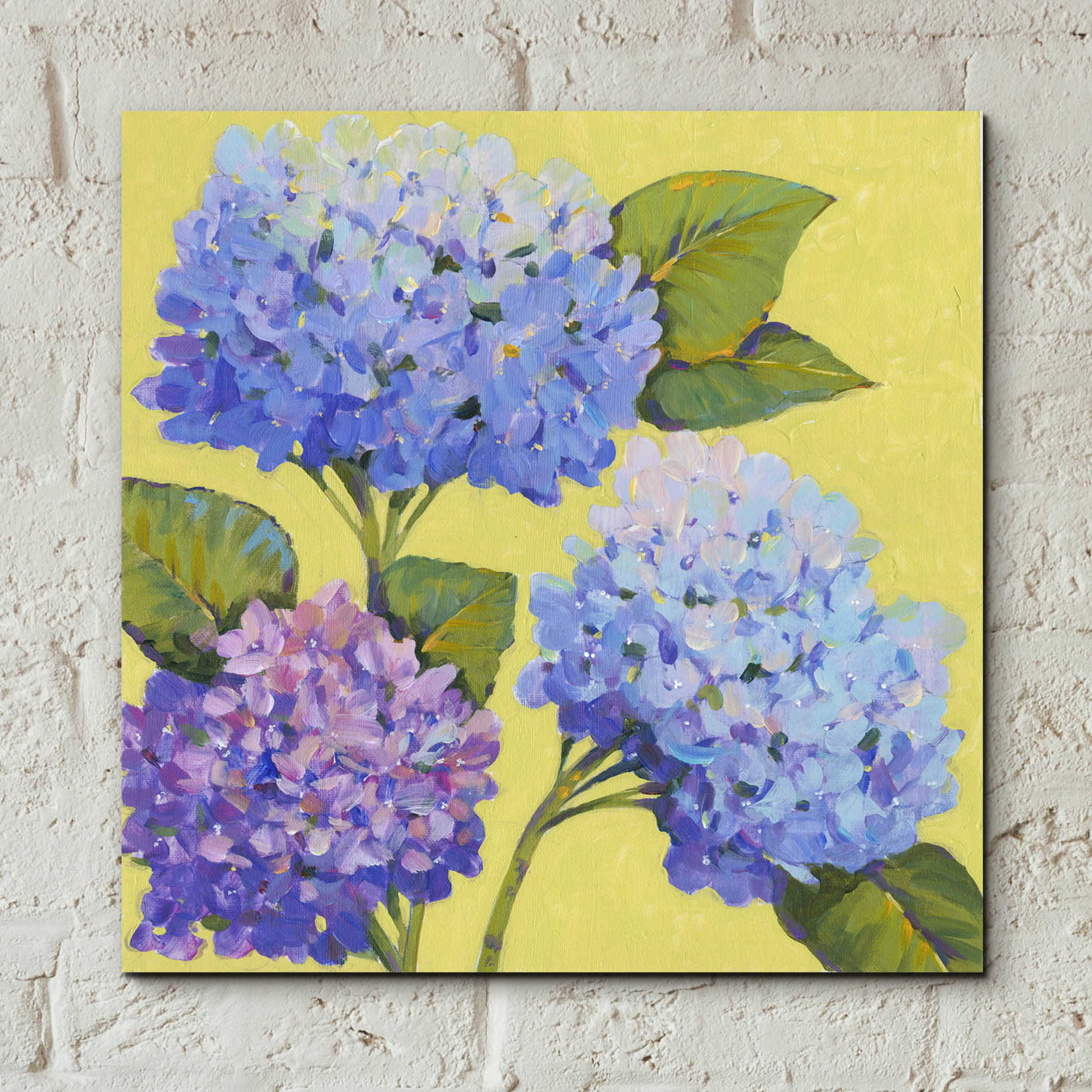 Epic Art 'Spring Hydrangeas II' by Tim O'Toole, Acrylic Glass Wall Art,12x12