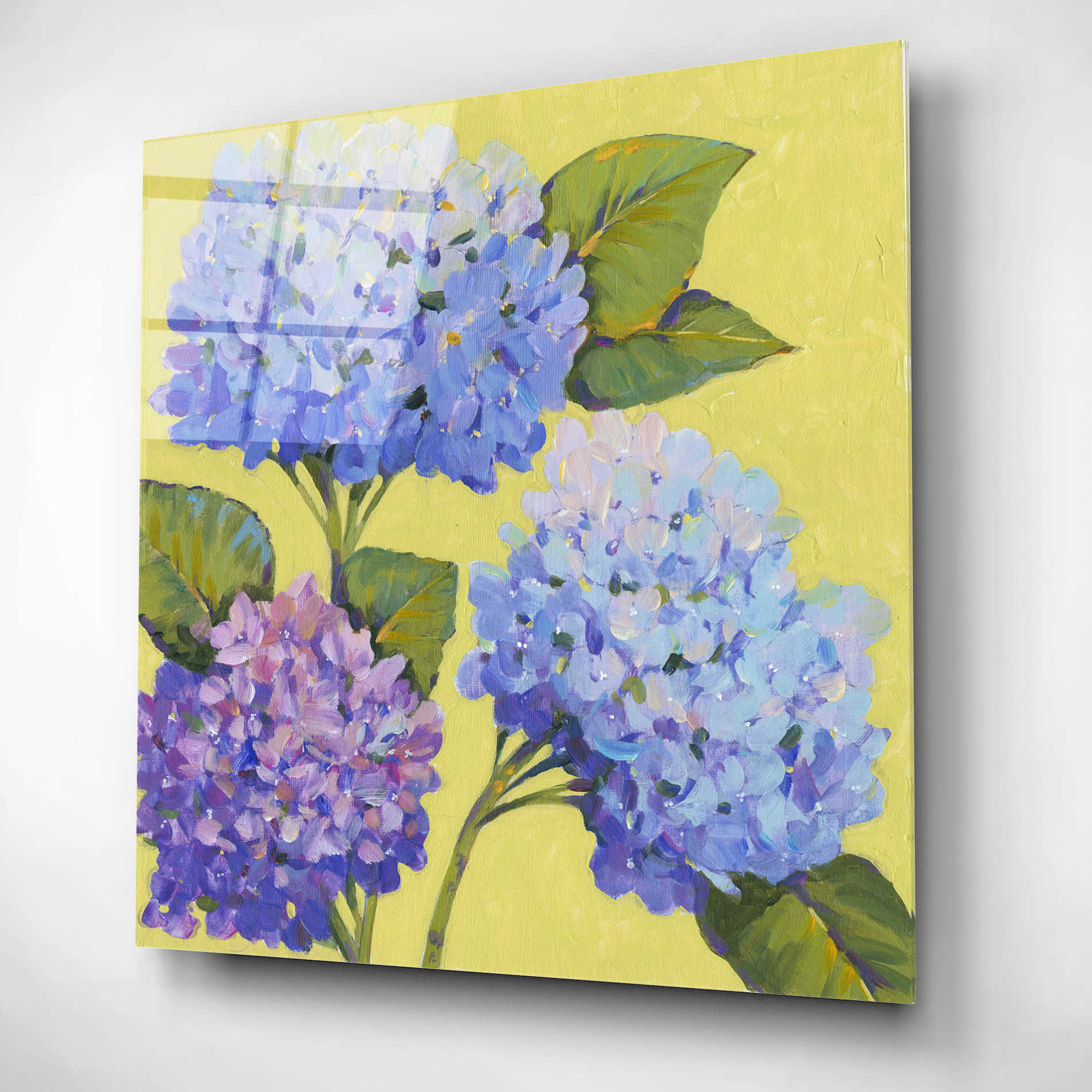 Epic Art 'Spring Hydrangeas II' by Tim O'Toole, Acrylic Glass Wall Art,12x12