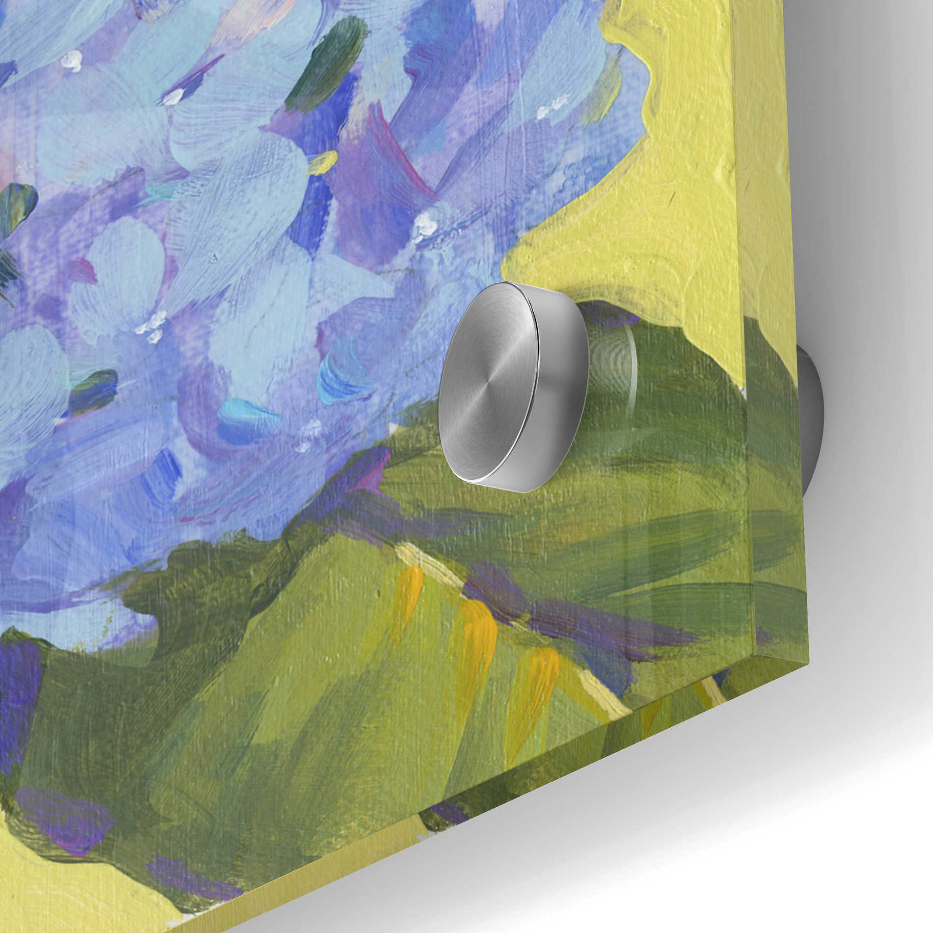 Epic Art 'Spring Hydrangeas II' by Tim O'Toole, Acrylic Glass Wall Art,24x24