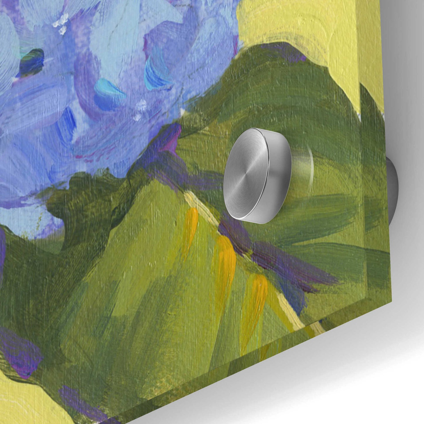 Epic Art 'Spring Hydrangeas II' by Tim O'Toole, Acrylic Glass Wall Art,36x36
