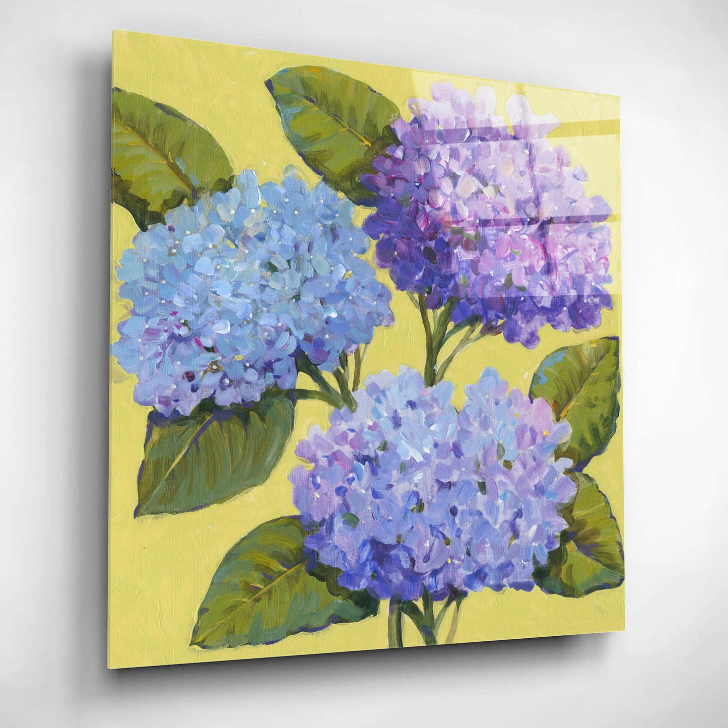 Epic Art 'Spring Hydrangeas I' by Tim O'Toole, Acrylic Glass Wall Art,12x12