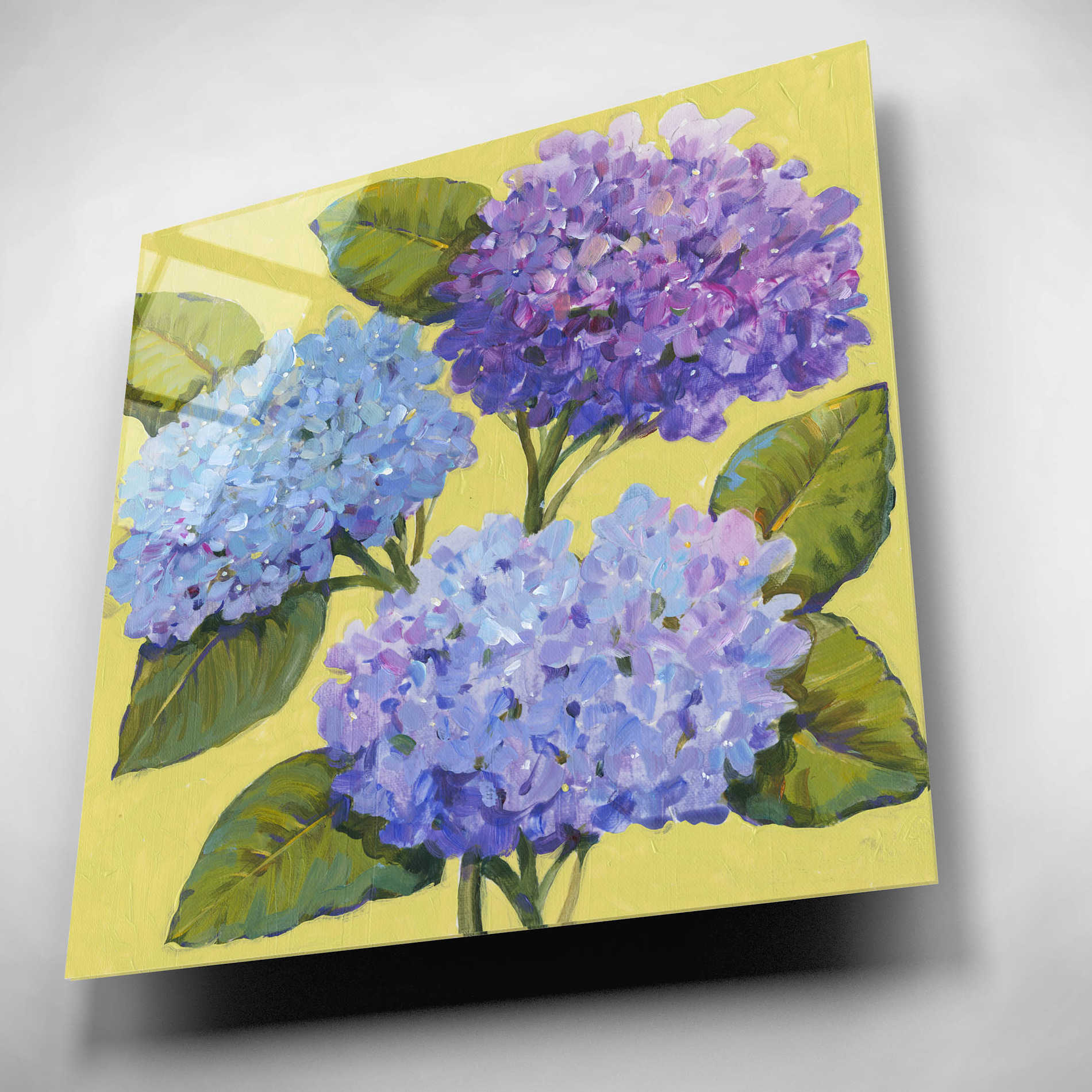 Epic Art 'Spring Hydrangeas I' by Tim O'Toole, Acrylic Glass Wall Art,12x12