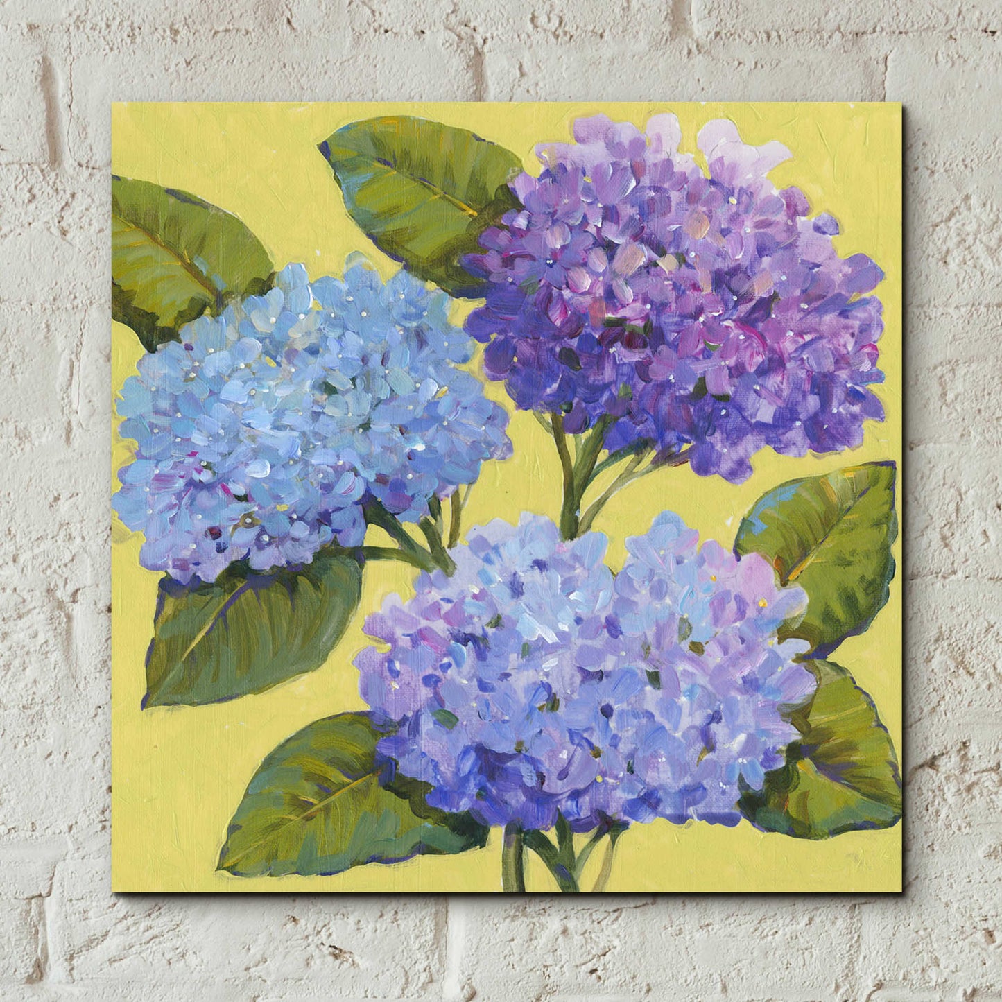 Epic Art 'Spring Hydrangeas I' by Tim O'Toole, Acrylic Glass Wall Art,12x12