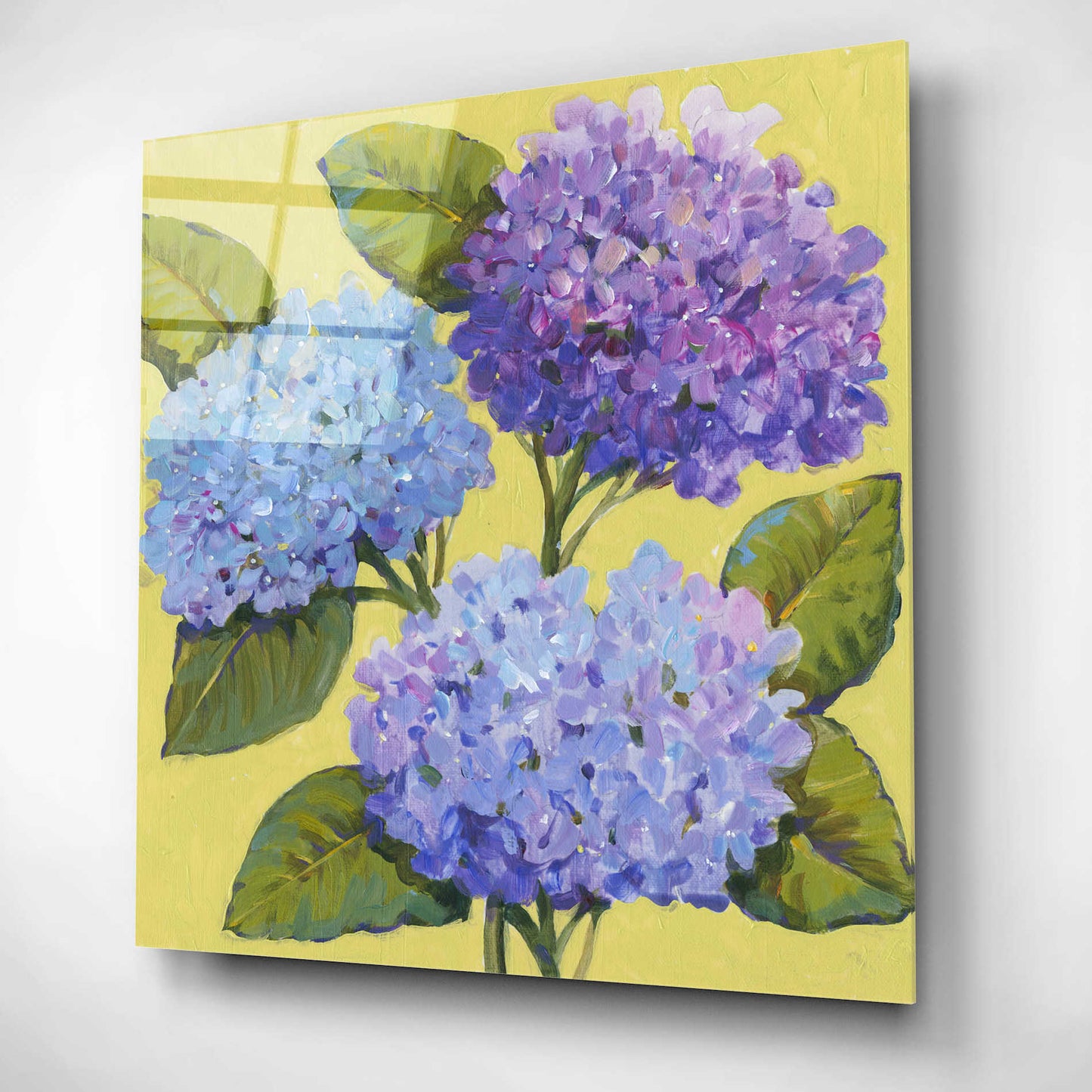 Epic Art 'Spring Hydrangeas I' by Tim O'Toole, Acrylic Glass Wall Art,12x12