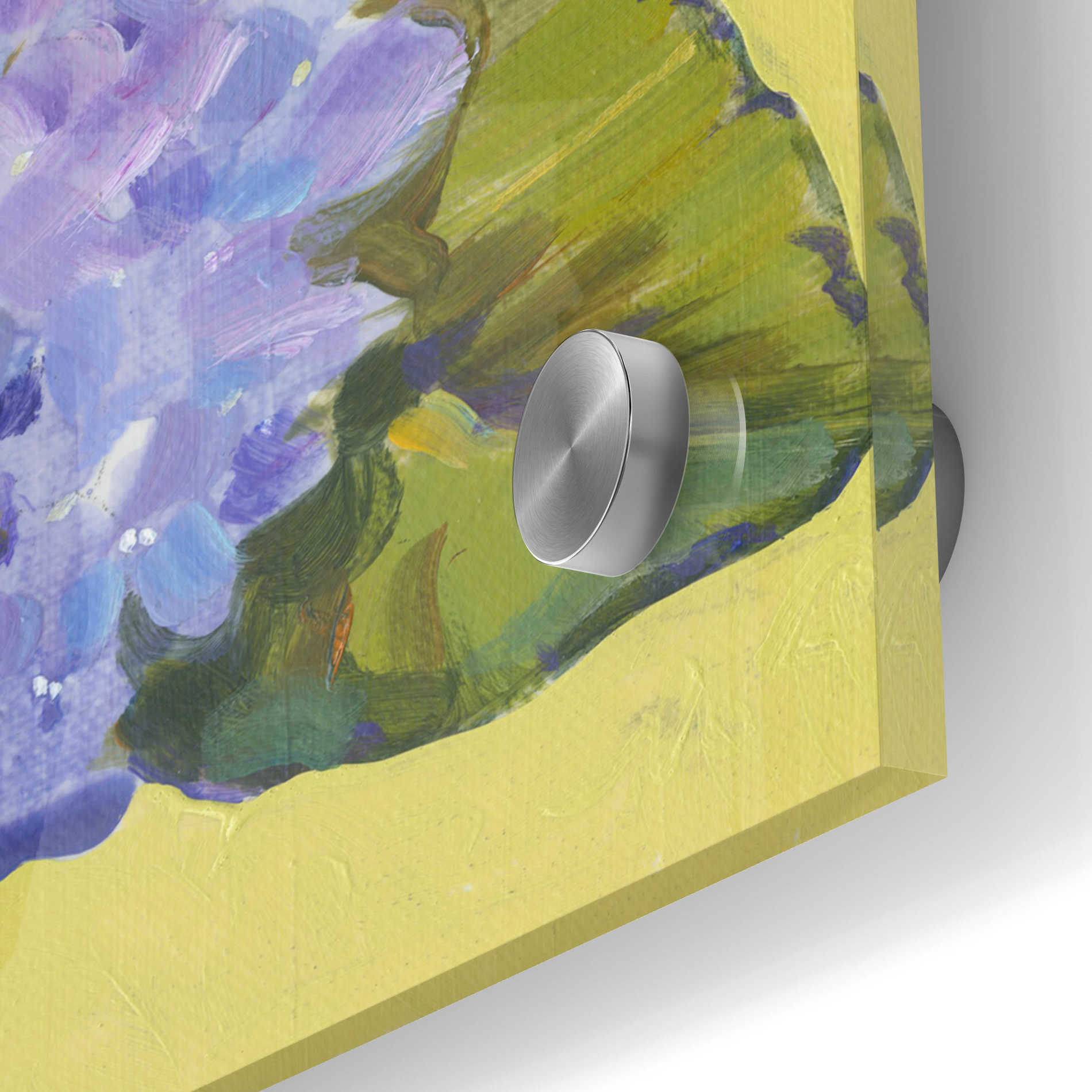 Epic Art 'Spring Hydrangeas I' by Tim O'Toole, Acrylic Glass Wall Art,24x24