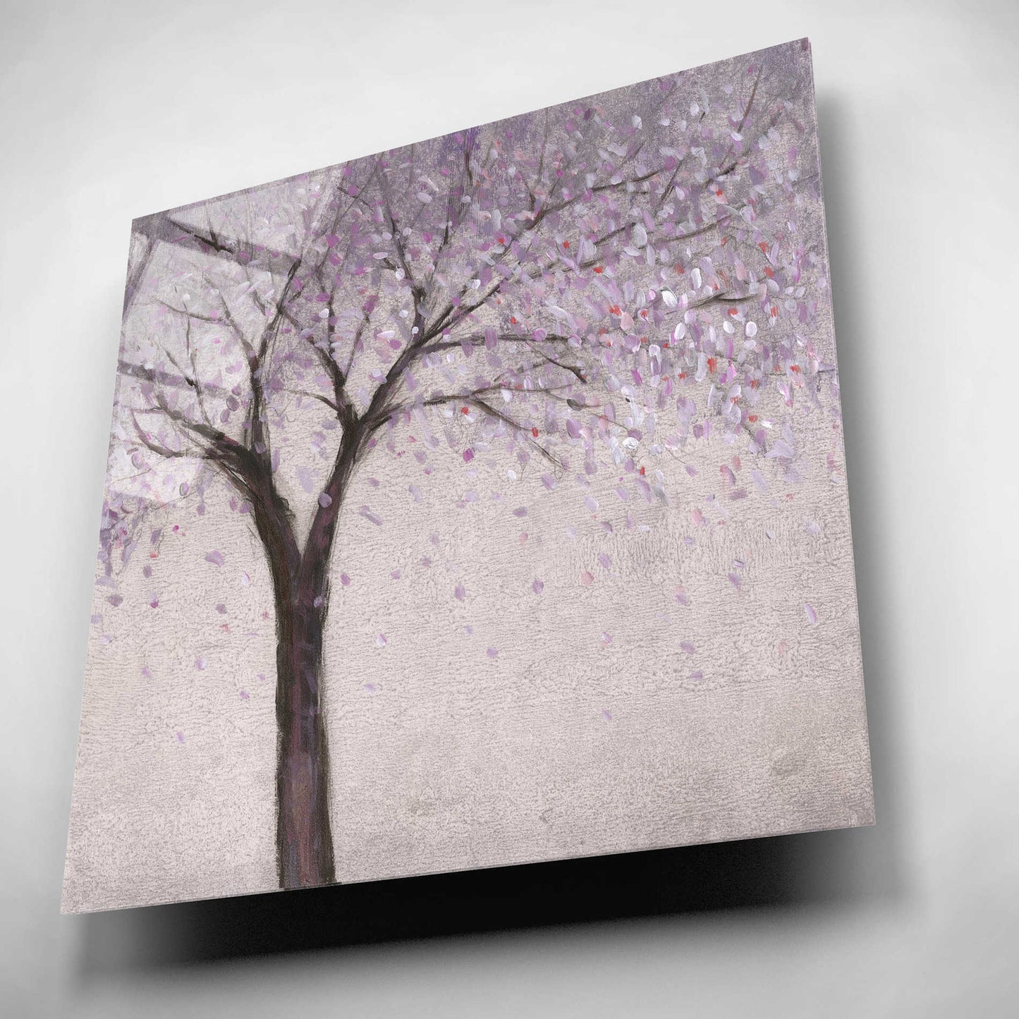 Epic Art 'Spring Blossom II' by Tim O'Toole, Acrylic Glass Wall Art,12x12