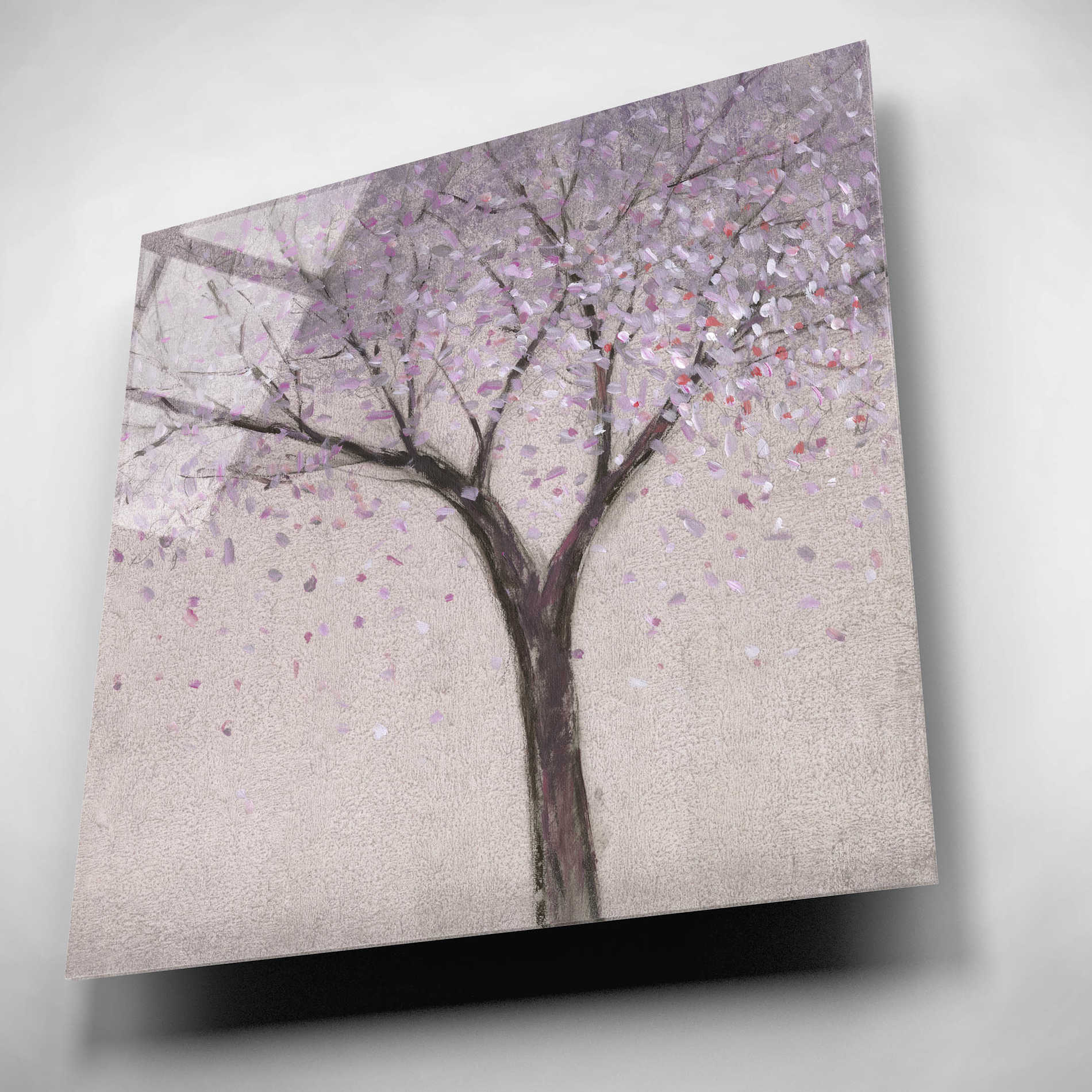 Epic Art 'Spring Blossom I' by Tim O'Toole, Acrylic Glass Wall Art,12x12