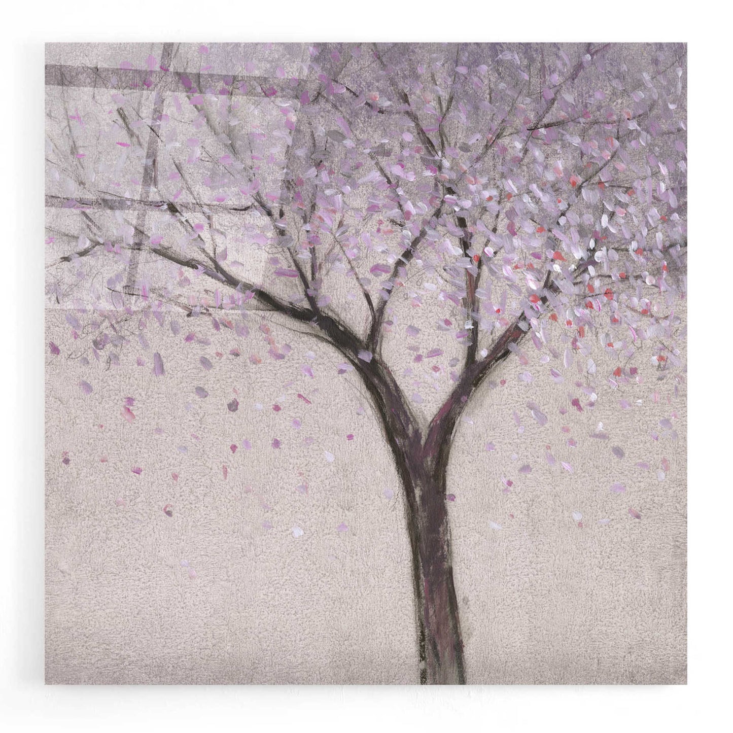 Epic Art 'Spring Blossom I' by Tim O'Toole, Acrylic Glass Wall Art,24x24
