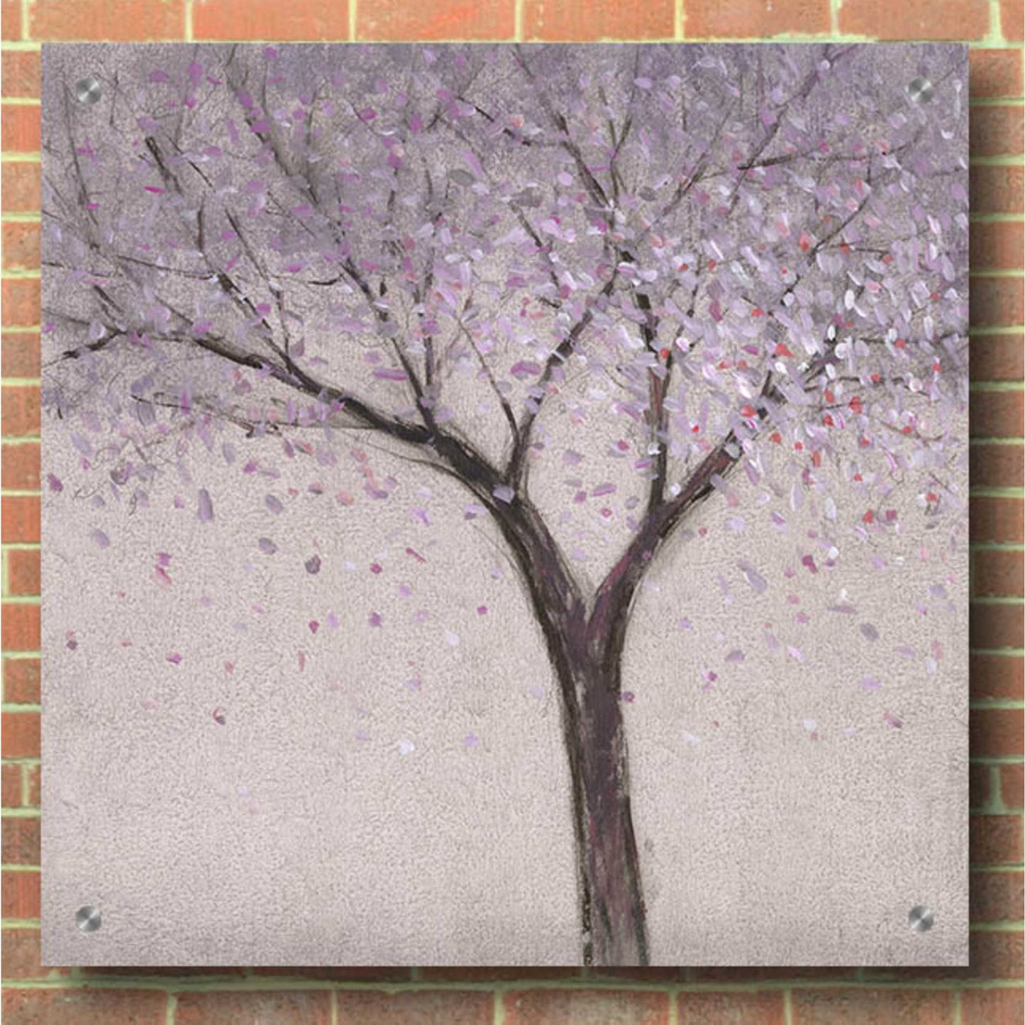 Epic Art 'Spring Blossom I' by Tim O'Toole, Acrylic Glass Wall Art,36x36