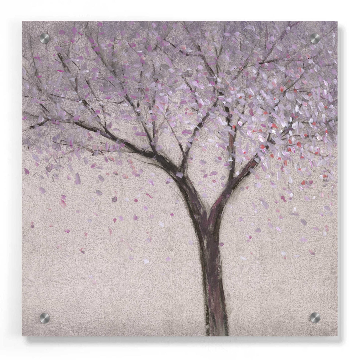 Epic Art 'Spring Blossom I' by Tim O'Toole, Acrylic Glass Wall Art,36x36