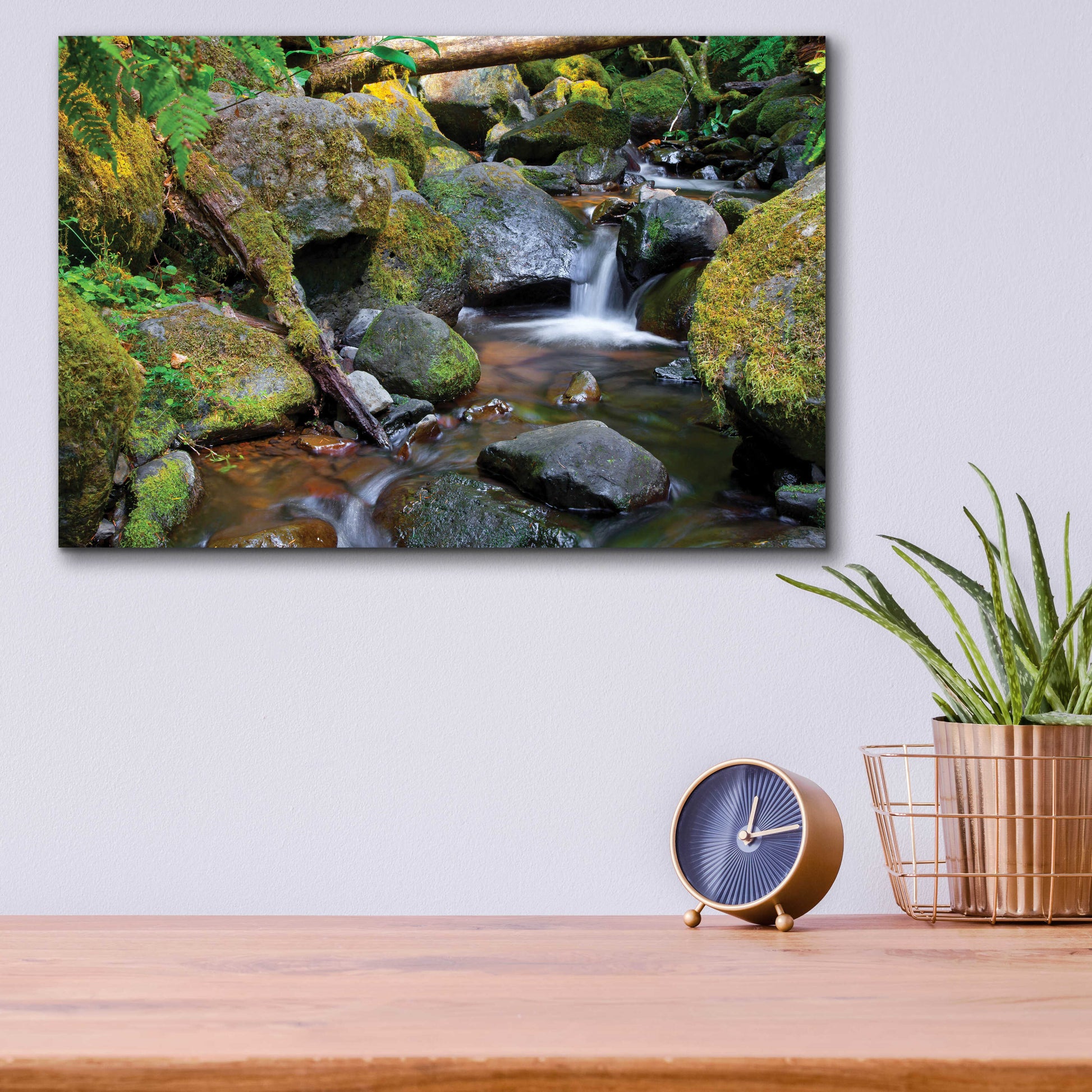 Epic Art 'Mossy Stream' by Michael Broom Acrylic Glass Wall Art,16x12