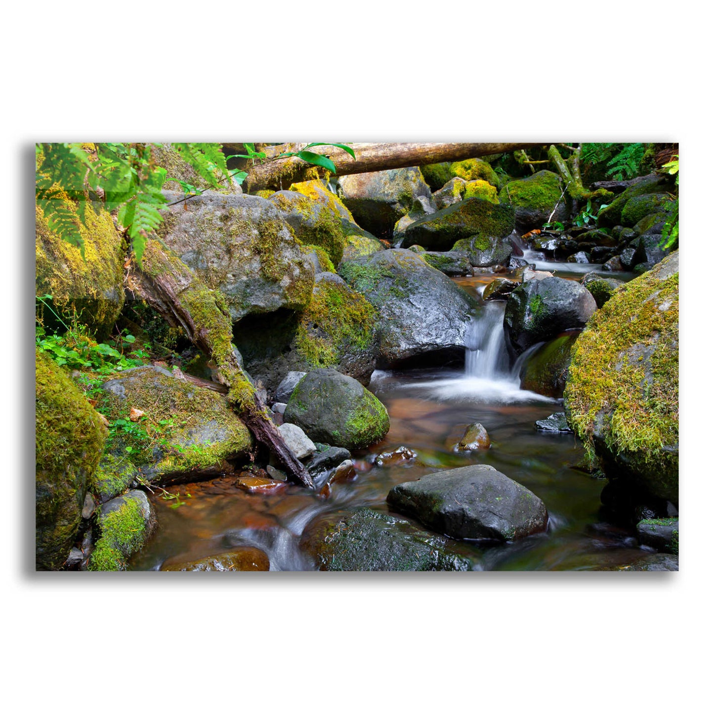 Epic Art 'Mossy Stream' by Michael Broom Acrylic Glass Wall Art,16x12