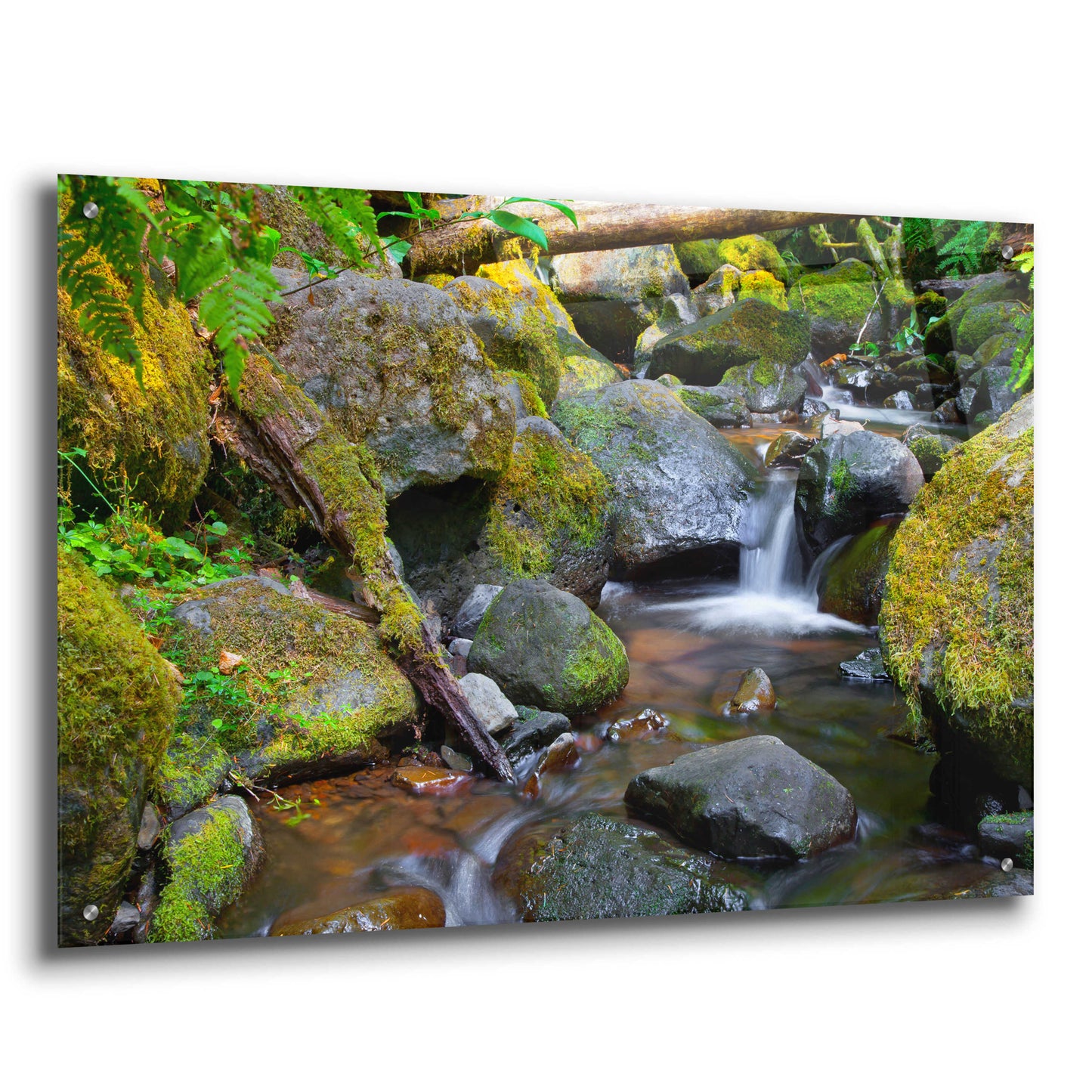 Epic Art 'Mossy Stream' by Michael Broom Acrylic Glass Wall Art,36x24