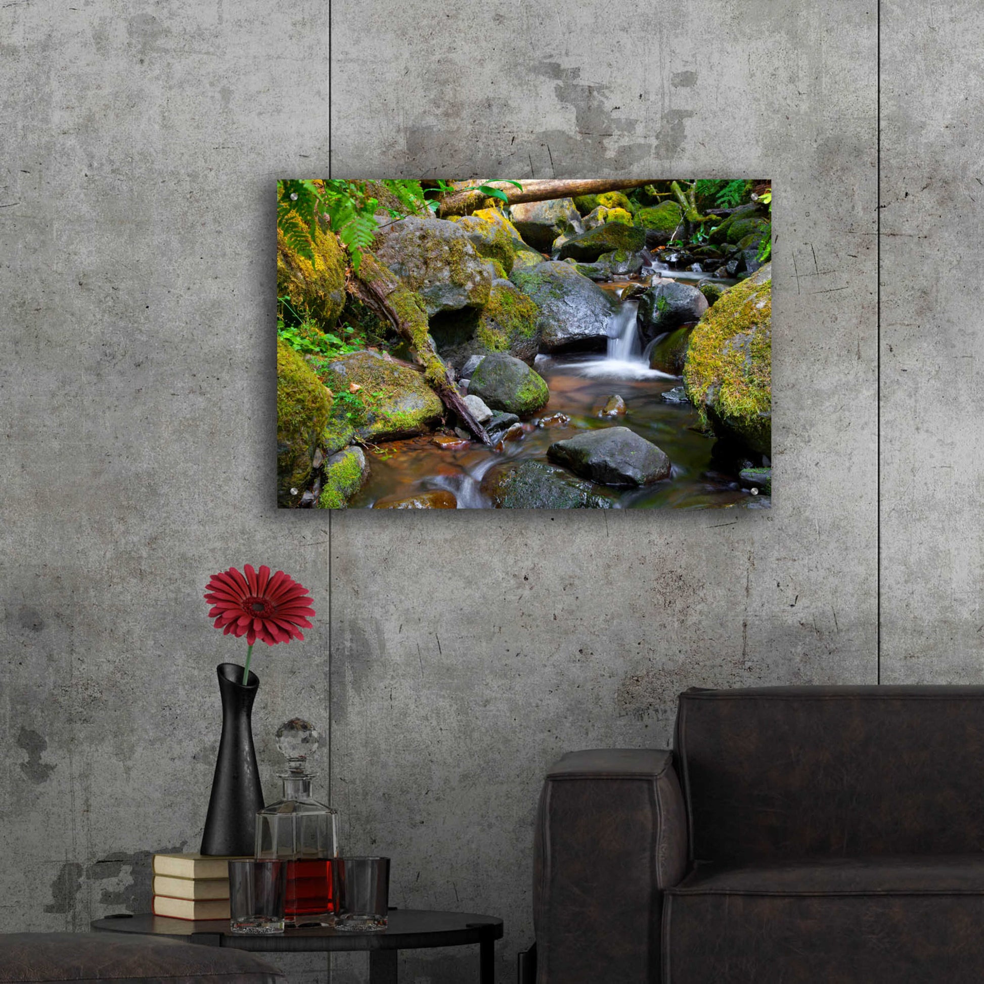 Epic Art 'Mossy Stream' by Michael Broom Acrylic Glass Wall Art,36x24