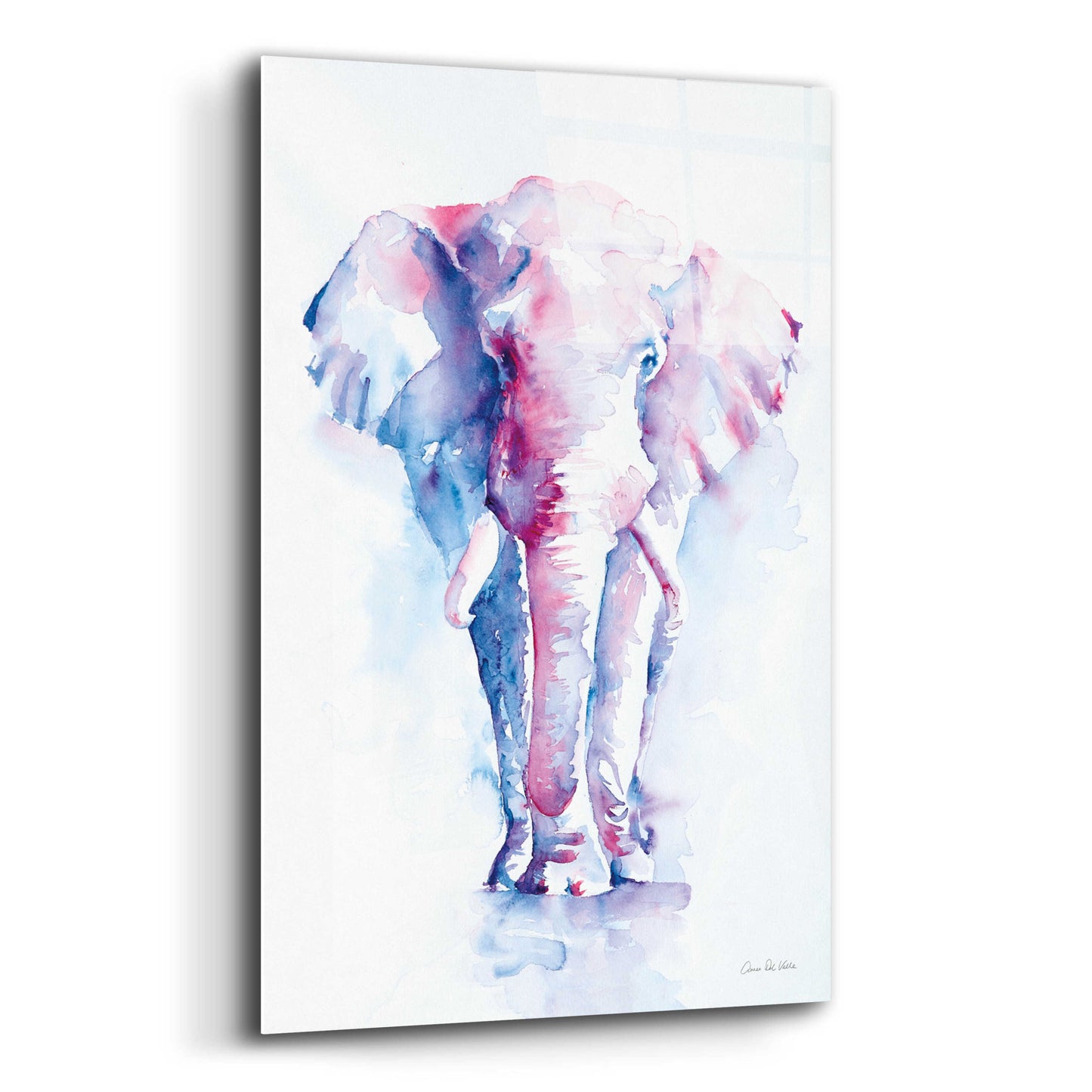 Epic Art 'An Elephant Never Forgets' by Alan Majchrowicz, Acrylic Glass Wall Art,12x16