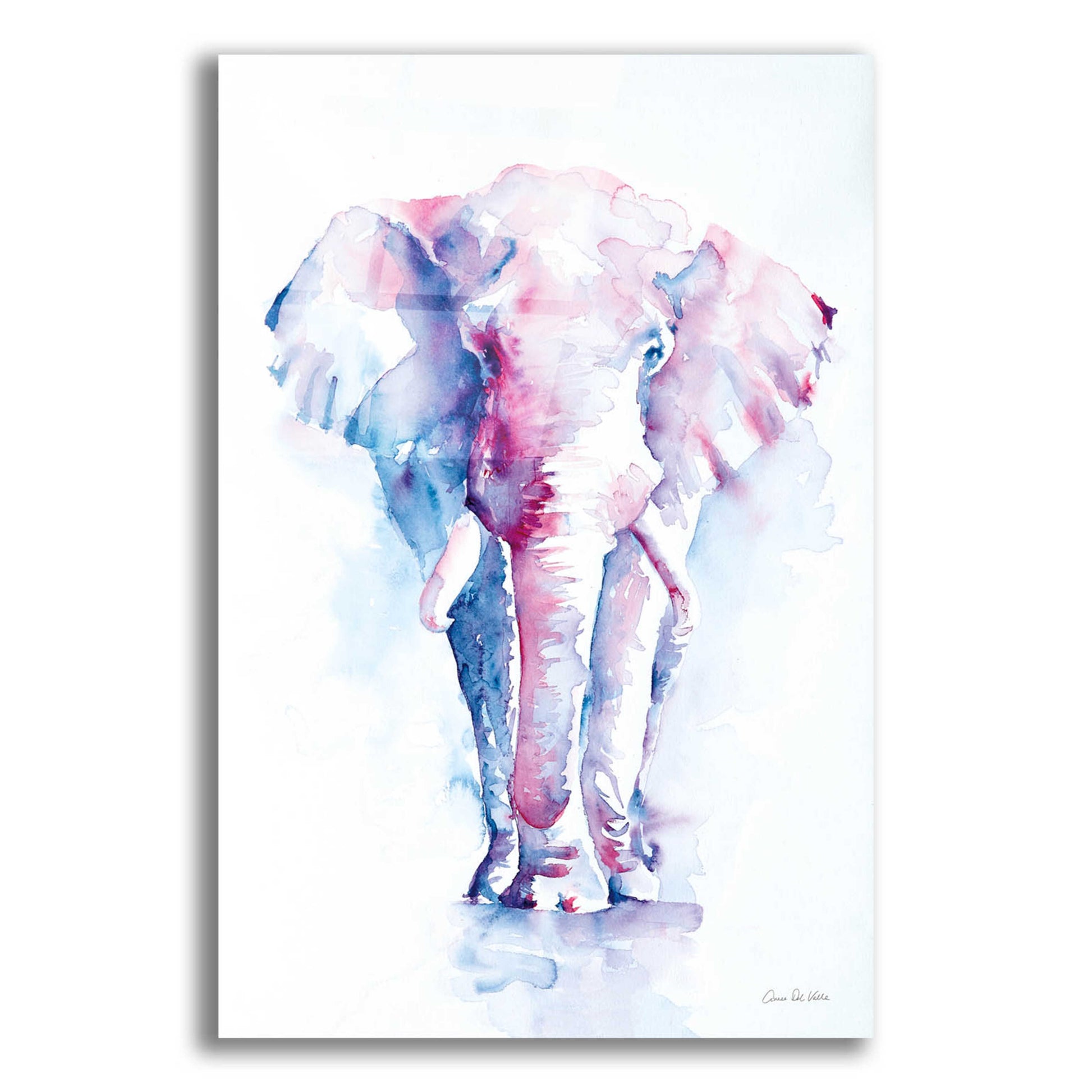 Epic Art 'An Elephant Never Forgets' by Alan Majchrowicz, Acrylic Glass Wall Art,12x16