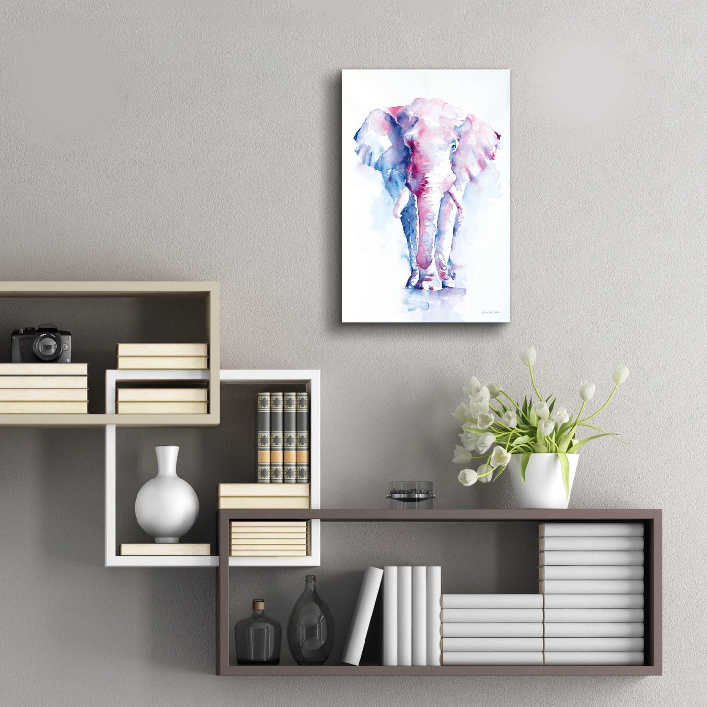 Epic Art 'An Elephant Never Forgets' by Alan Majchrowicz, Acrylic Glass Wall Art,16x24