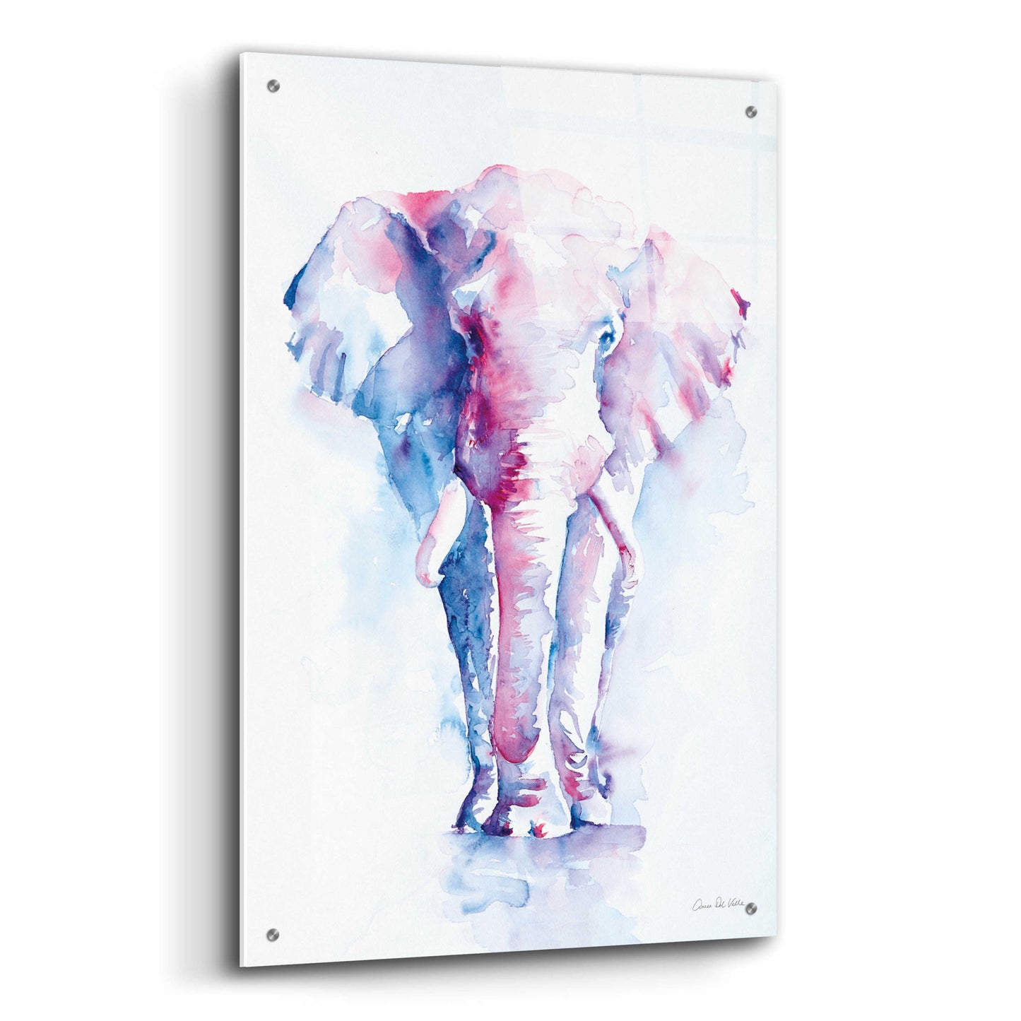 Epic Art 'An Elephant Never Forgets' by Alan Majchrowicz, Acrylic Glass Wall Art,24x36