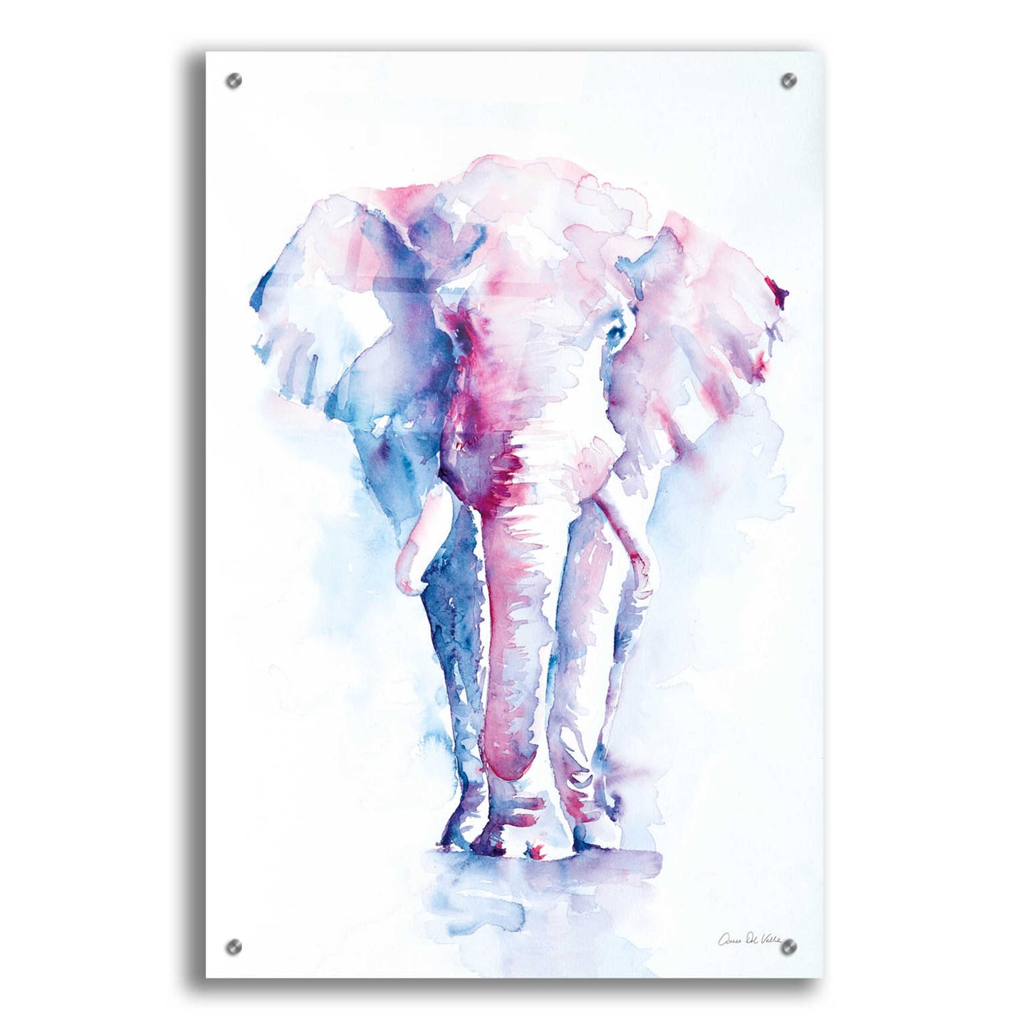 Epic Art 'An Elephant Never Forgets' by Alan Majchrowicz, Acrylic Glass Wall Art,24x36