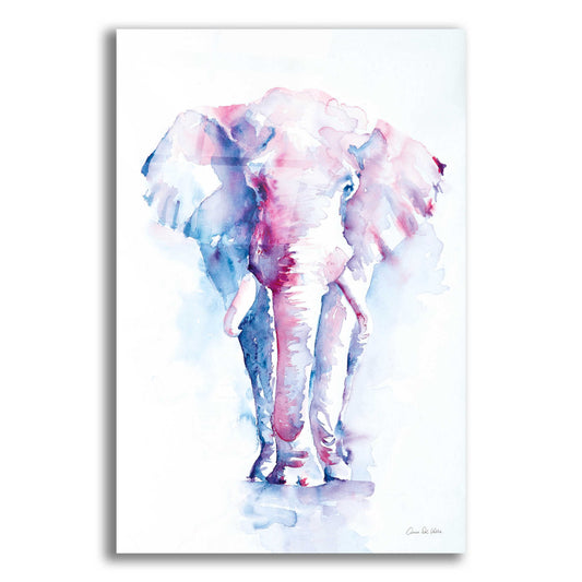 Epic Art 'An Elephant Never Forgets' by Alan Majchrowicz, Acrylic Glass Wall Art