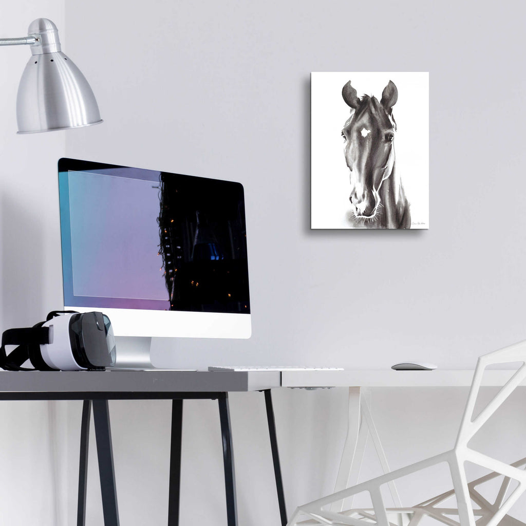 Epic Art 'Le Cheval Noir' by Alan Majchrowicz, Acrylic Glass Wall Art,12x16