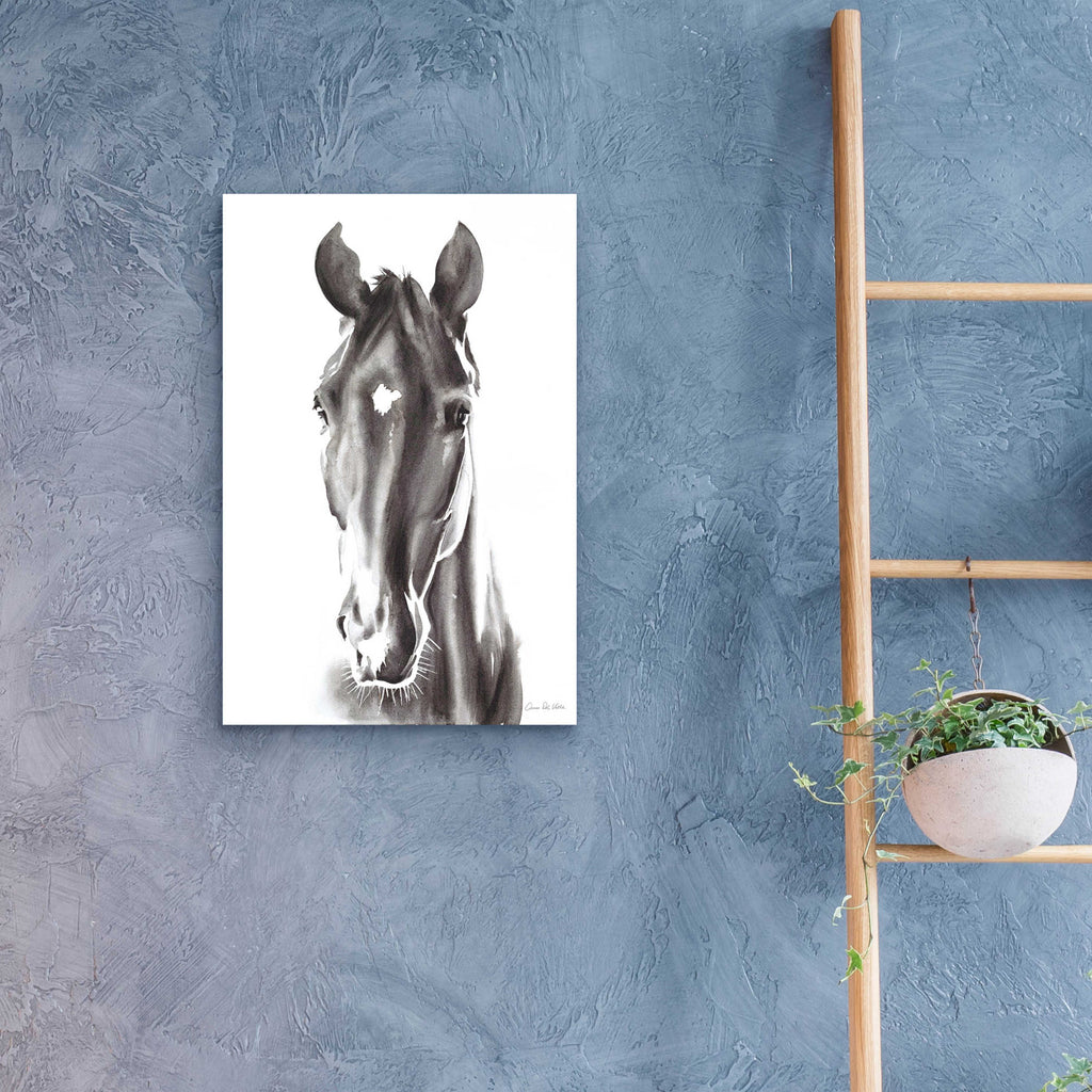 Epic Art 'Le Cheval Noir' by Alan Majchrowicz, Acrylic Glass Wall Art,16x24