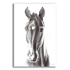 Epic Art 'Le Cheval Noir' by Alan Majchrowicz, Acrylic Glass Wall Art