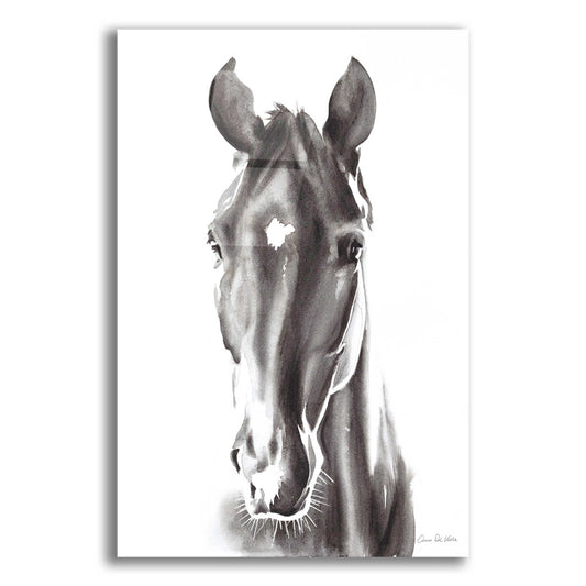 Epic Art 'Le Cheval Noir' by Alan Majchrowicz, Acrylic Glass Wall Art