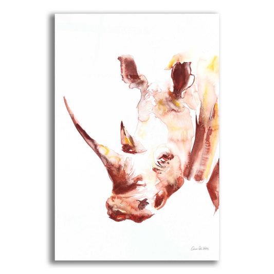 Epic Art 'Rhino' by Alan Majchrowicz, Acrylic Glass Wall Art