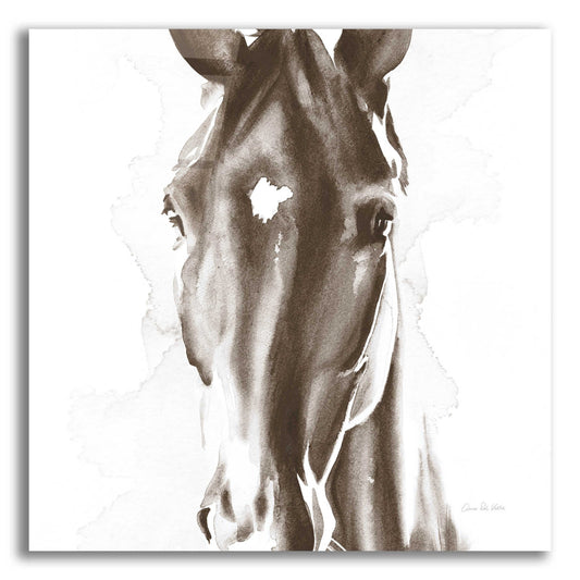 Epic Art 'Le Cheval Noir Brown' by Alan Majchrowicz, Acrylic Glass Wall Art