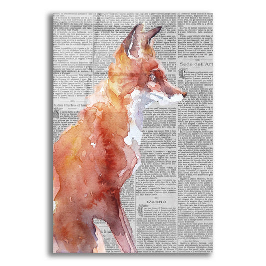 Epic Art 'Sly As A Fox Newsprint' by Alan Majchrowicz, Acrylic Glass Wall Art