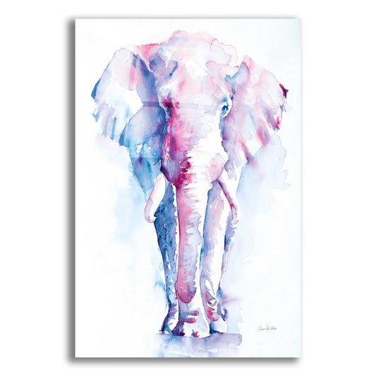 Epic Art 'An Elephant Never Forgets V2' by Alan Majchrowicz, Acrylic Glass Wall Art