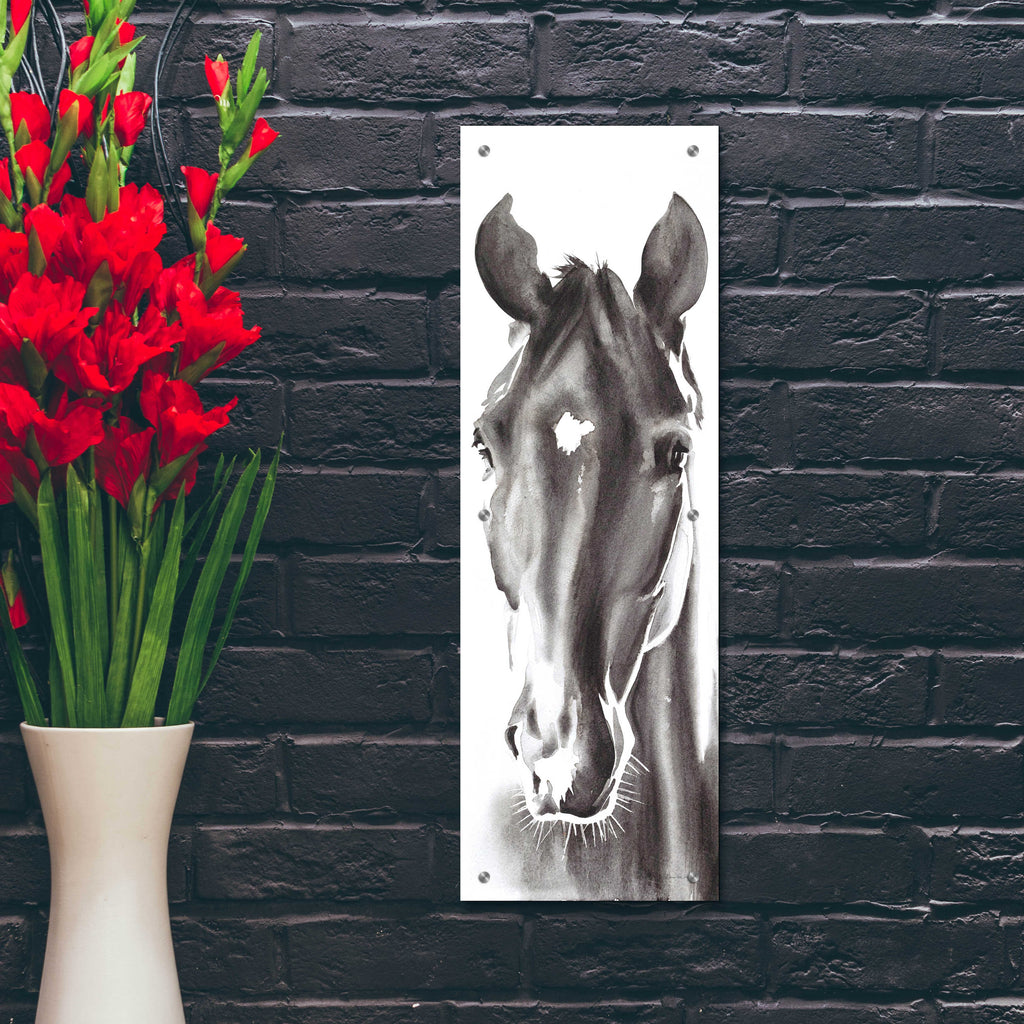 Epic Art 'Le Cheval Noir Horse Panel' by Alan Majchrowicz, Acrylic Glass Wall Art,12x36