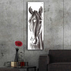 Epic Art 'Le Cheval Noir Horse Panel' by Alan Majchrowicz, Acrylic Glass Wall Art,16x48