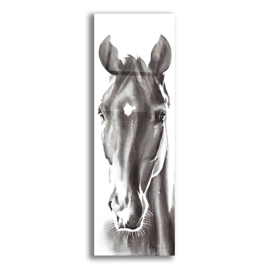 Epic Art 'Le Cheval Noir Horse Panel' by Alan Majchrowicz, Acrylic Glass Wall Art