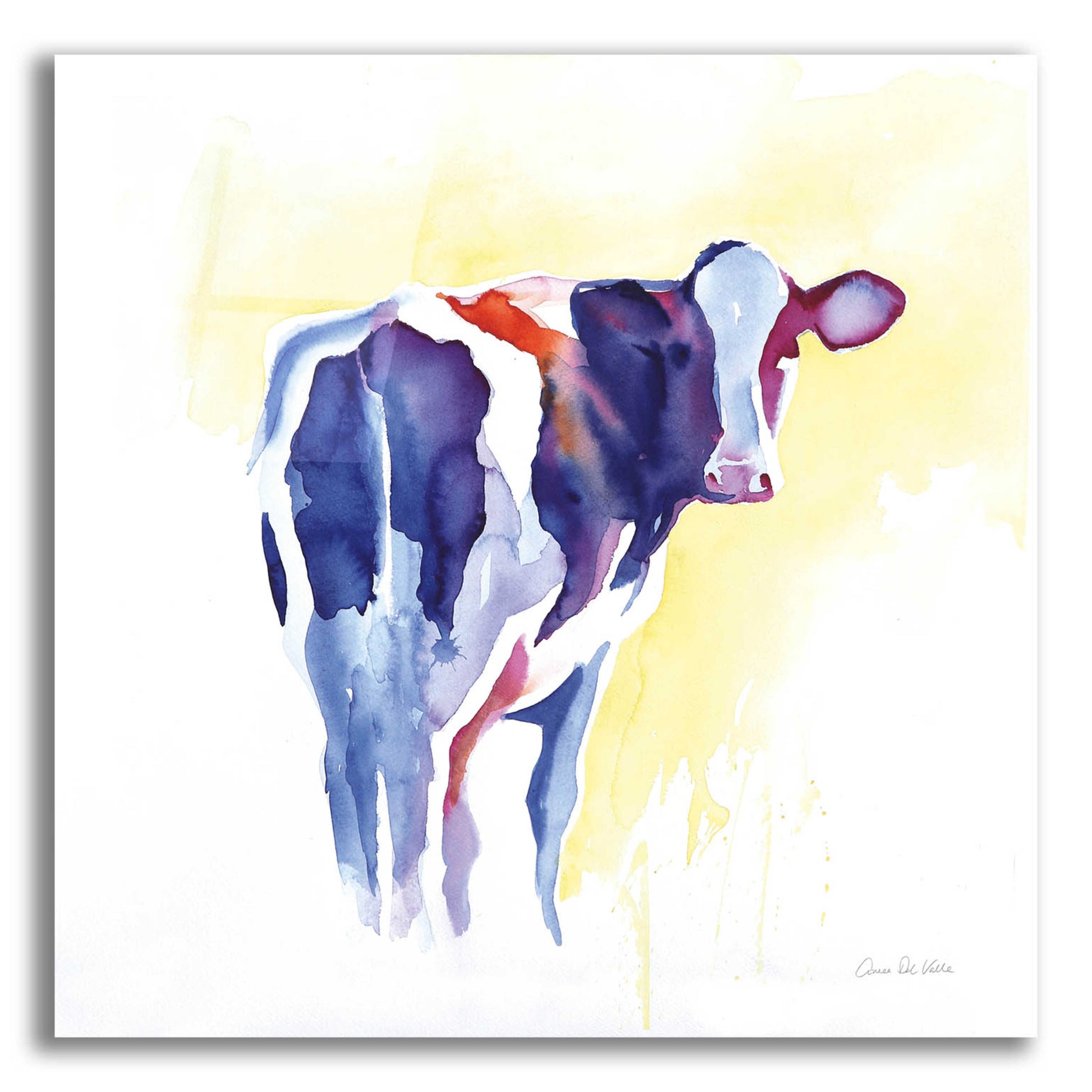 Epic Art 'Holstein I' by Alan Majchrowicz, Acrylic Glass Wall Art,12x12