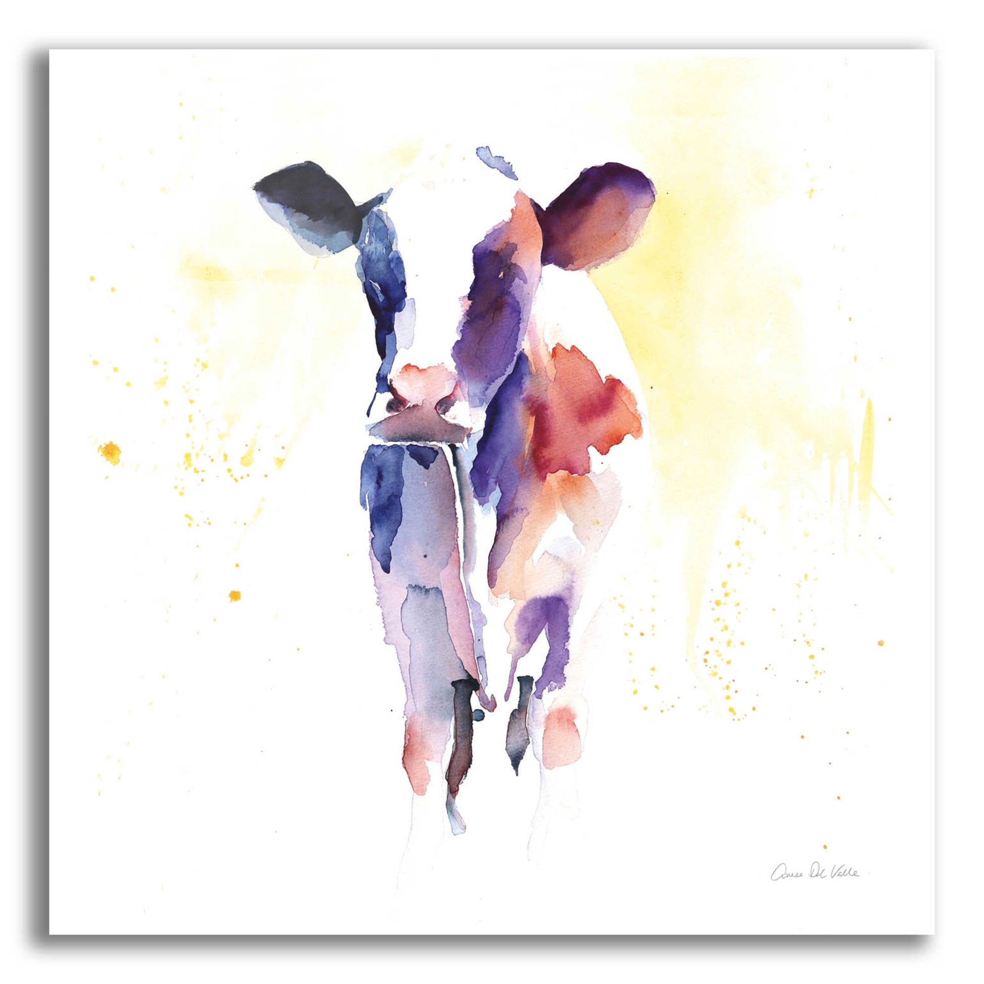 Epic Art 'Holstein II' by Alan Majchrowicz, Acrylic Glass Wall Art,12x12