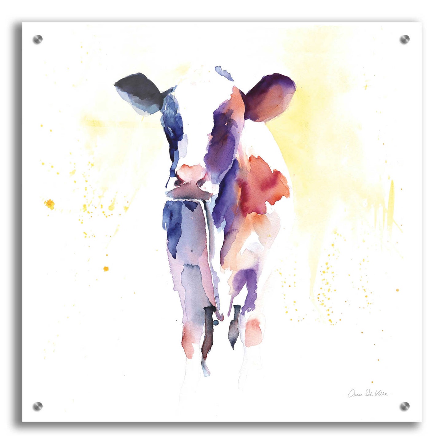 Epic Art 'Holstein II' by Alan Majchrowicz, Acrylic Glass Wall Art,24x24