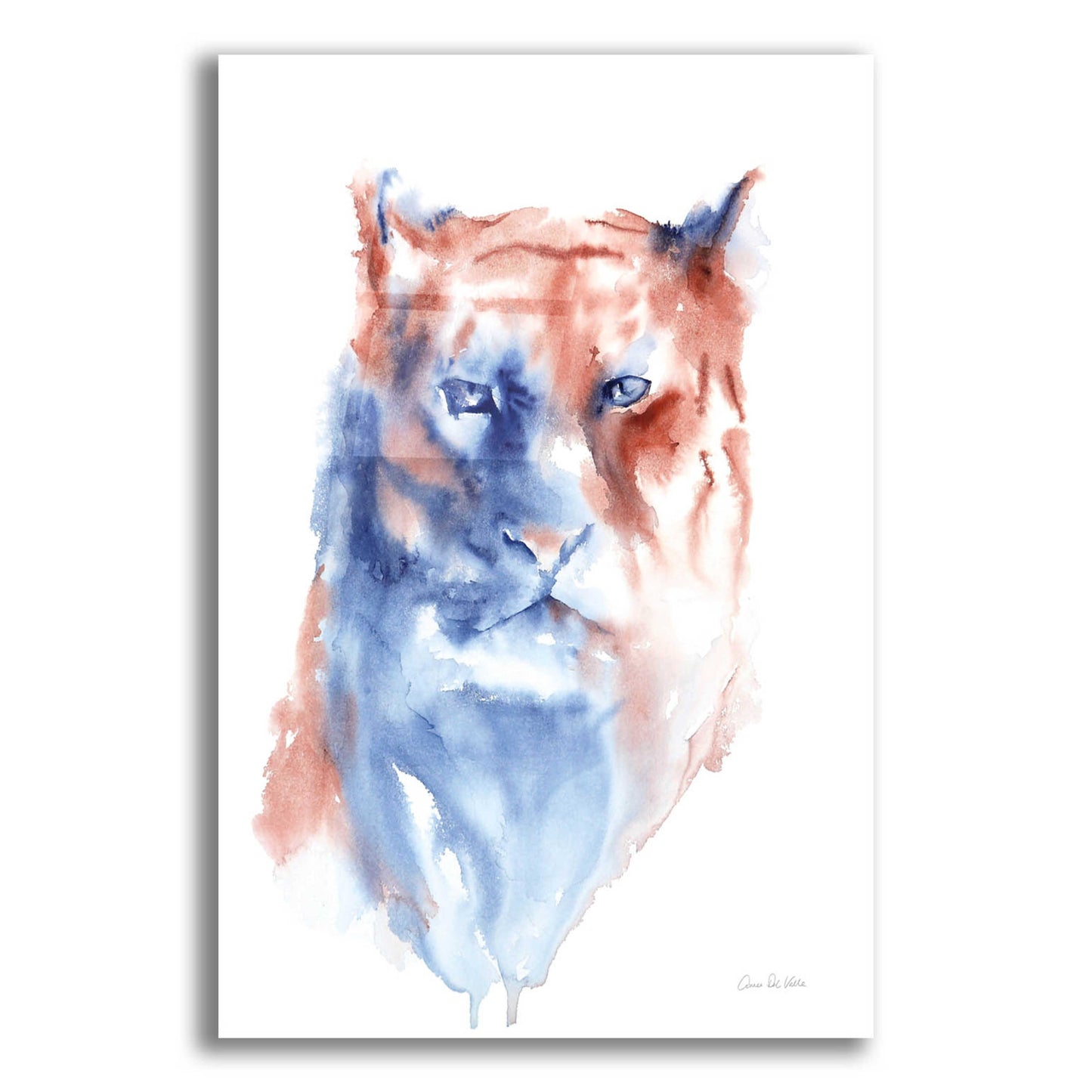 Epic Art 'Copper And Blue Lioness' by Alan Majchrowicz, Acrylic Glass Wall Art,12x16