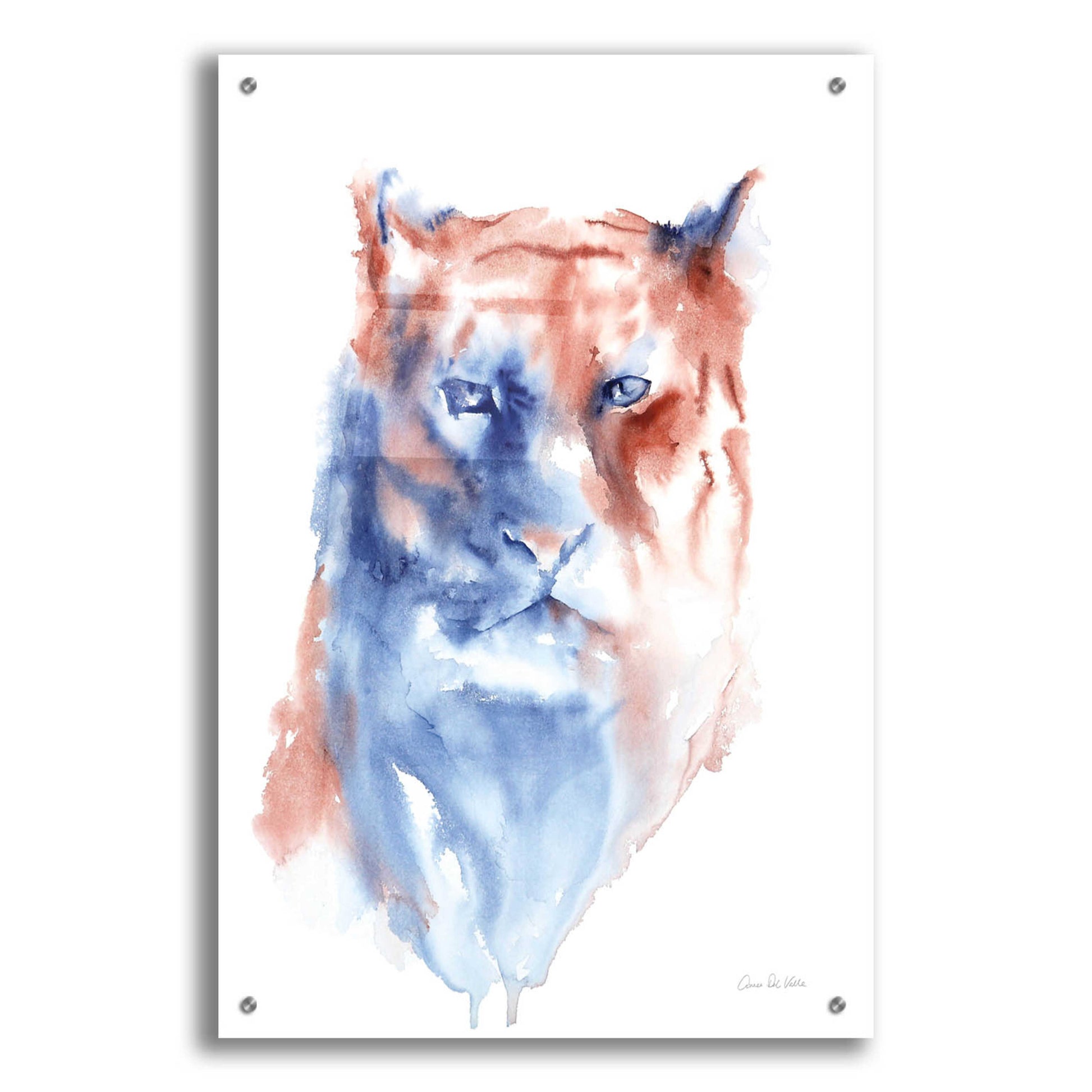 Epic Art 'Copper And Blue Lioness' by Alan Majchrowicz, Acrylic Glass Wall Art,24x36