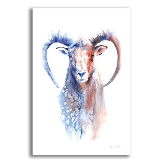 Epic Art 'Copper And Blue Ram' by Alan Majchrowicz, Acrylic Glass Wall Art