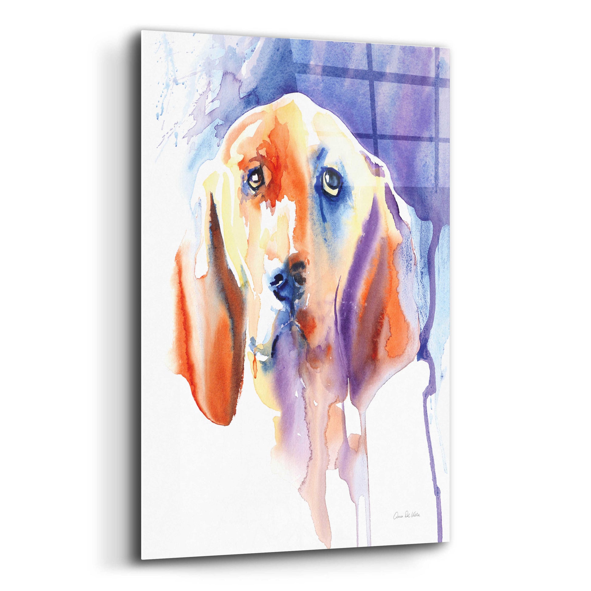 Epic Art 'Basset Hound' by Alan Majchrowicz, Acrylic Glass Wall Art,12x16