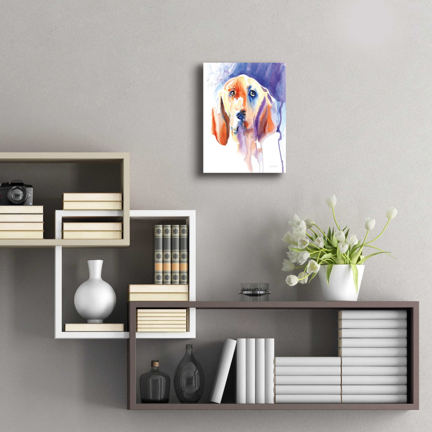 Epic Art 'Basset Hound' by Alan Majchrowicz, Acrylic Glass Wall Art,12x16