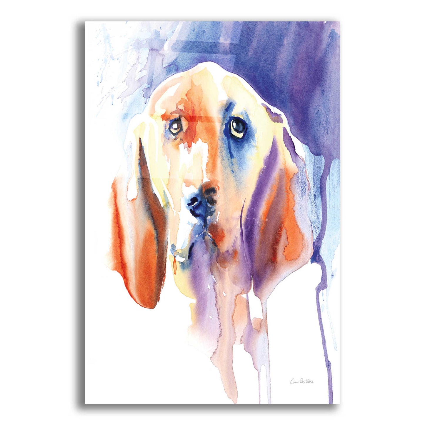 Epic Art 'Basset Hound' by Alan Majchrowicz, Acrylic Glass Wall Art,12x16