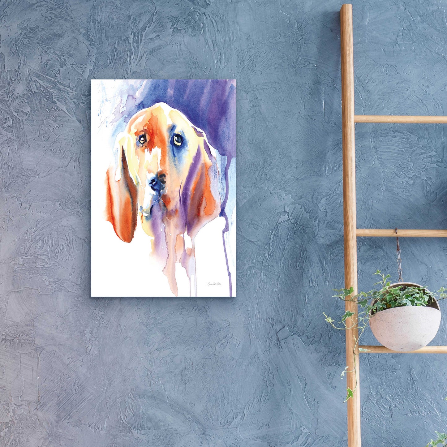 Epic Art 'Basset Hound' by Alan Majchrowicz, Acrylic Glass Wall Art,16x24