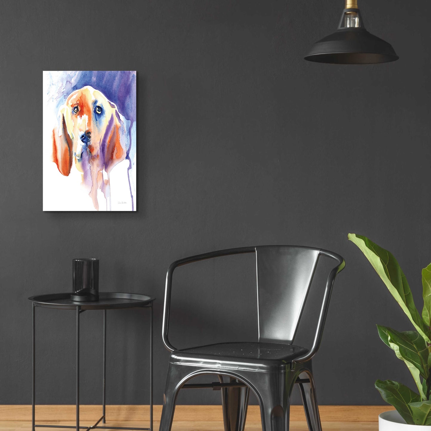 Epic Art 'Basset Hound' by Alan Majchrowicz, Acrylic Glass Wall Art,16x24